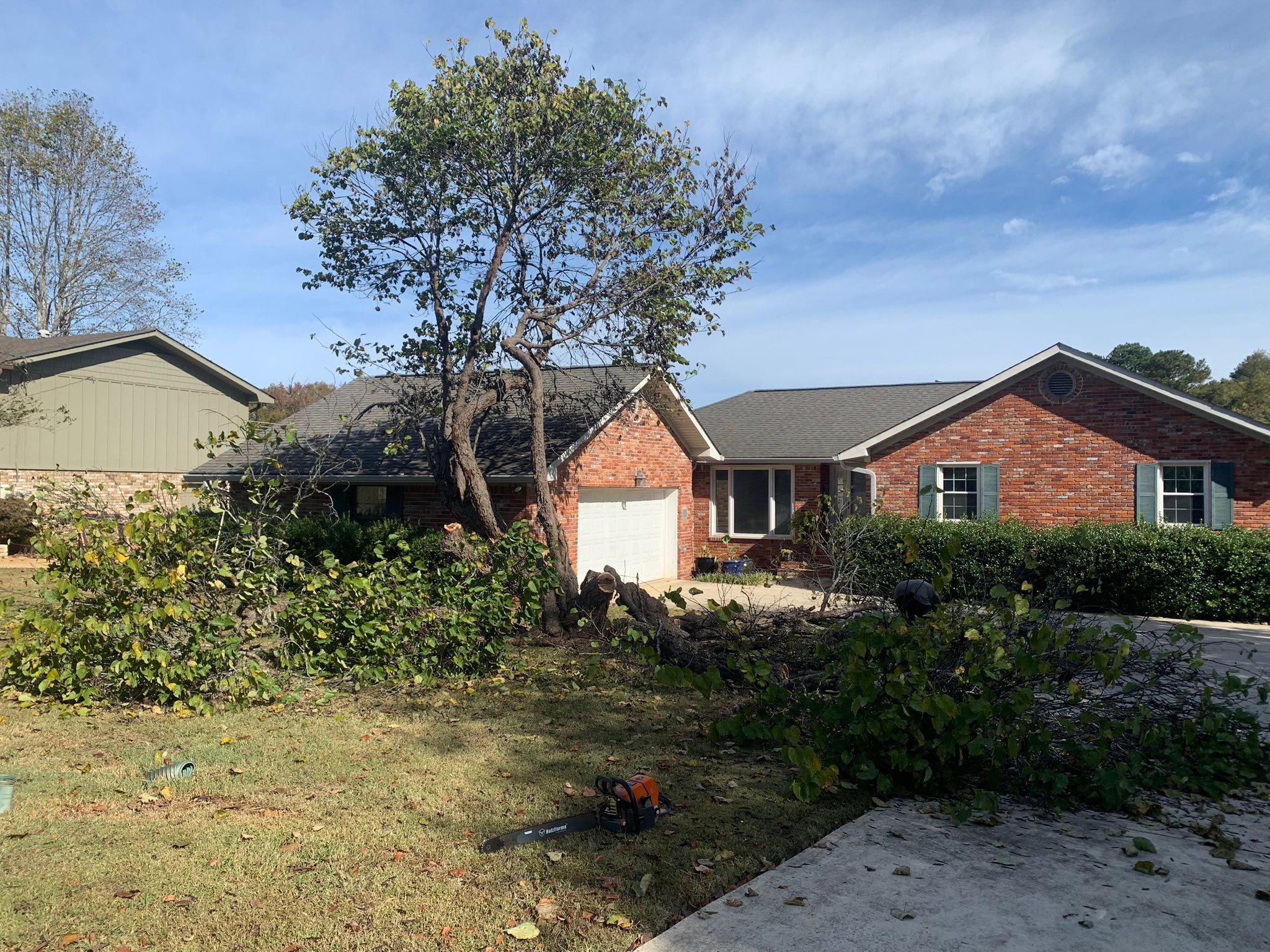 Tree Munks Tree Service | Signal Mountain TN