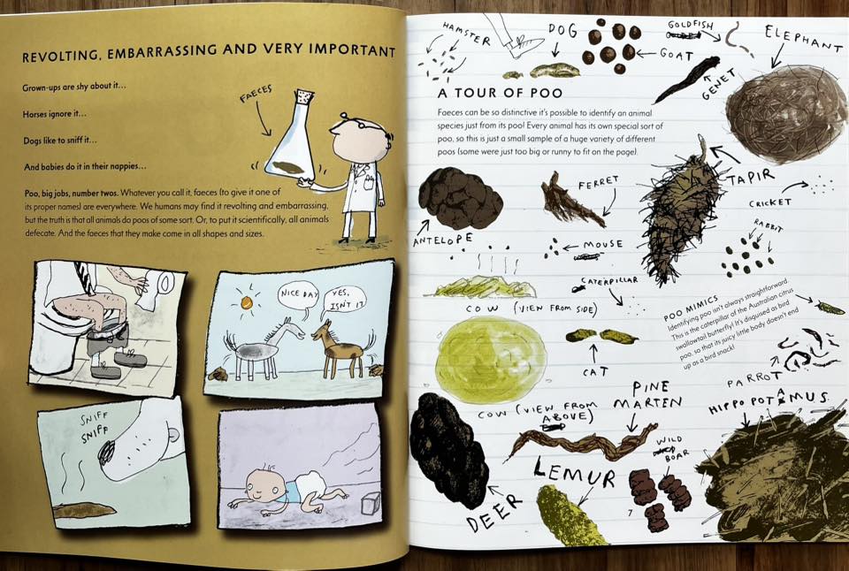 ติดจอง 📚 ปกอ่อน 32 หน้า สภาพดีมาก Poo : A Natural History of the ...