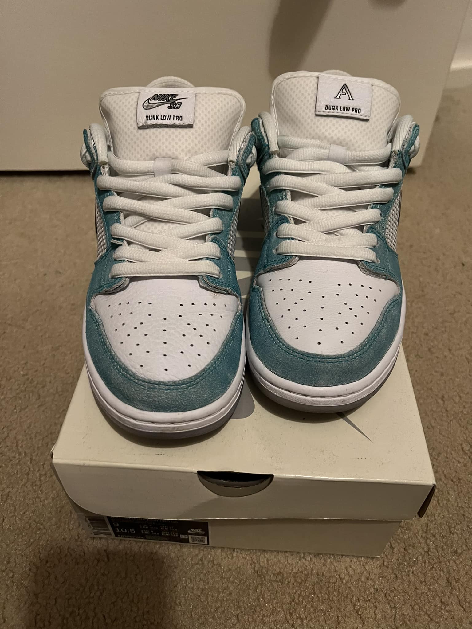? Nike SB Dunk High Pro QS “FroSkate All Love” ? ? Worn only a 