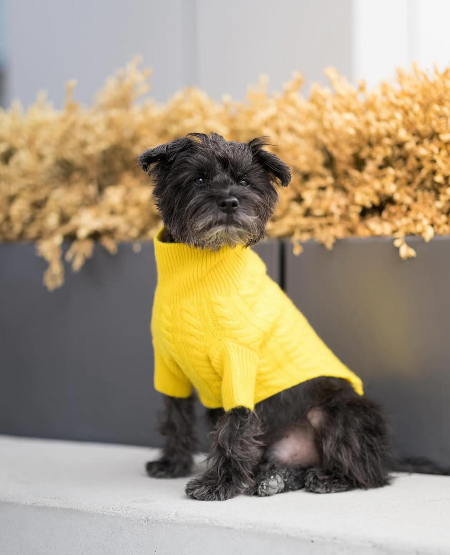 RUBY RUFUS | New York NY
