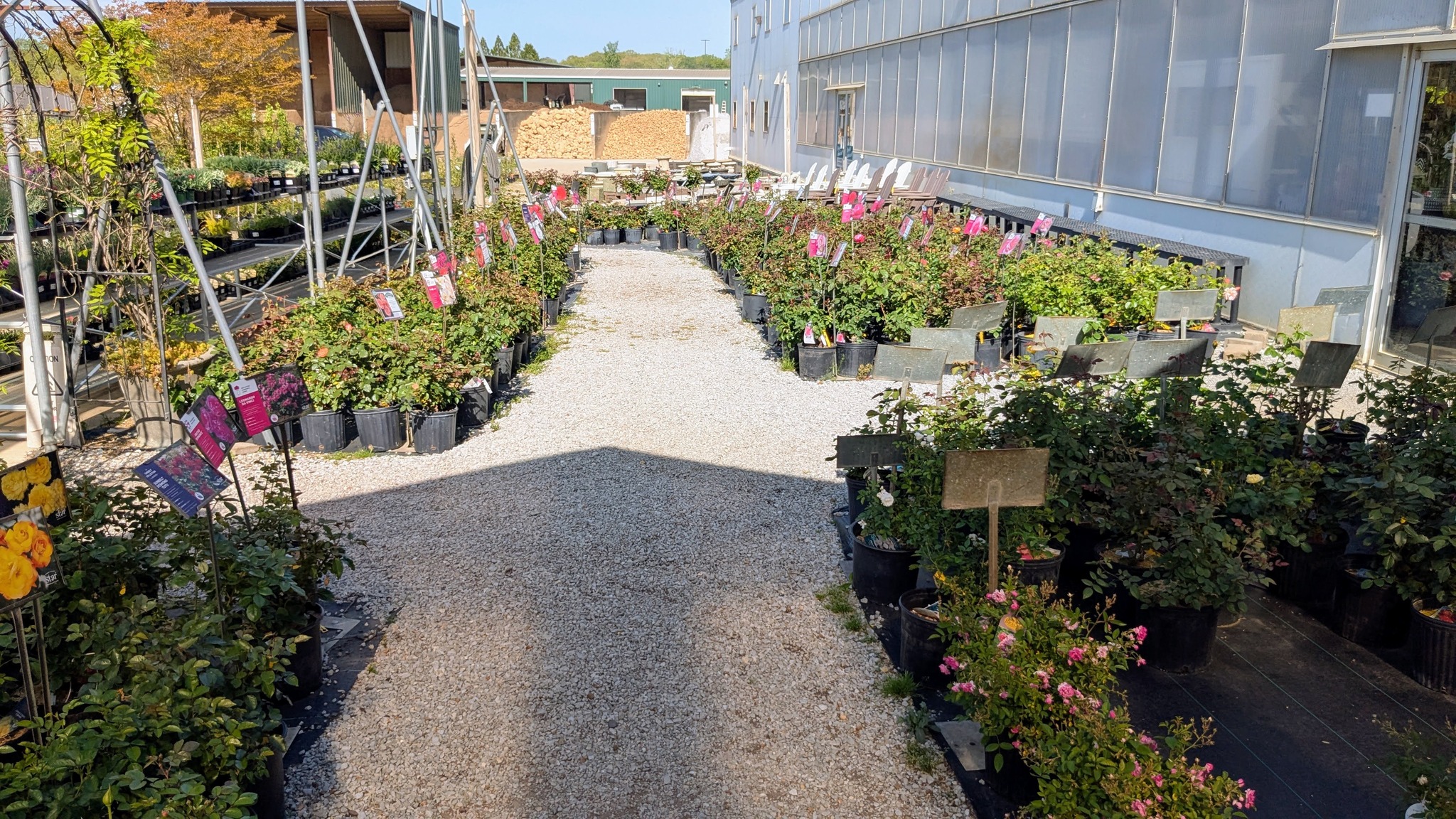 Best HD Pictures about  Ooltewah Nursery Landscape Co Inc  with No AI Images