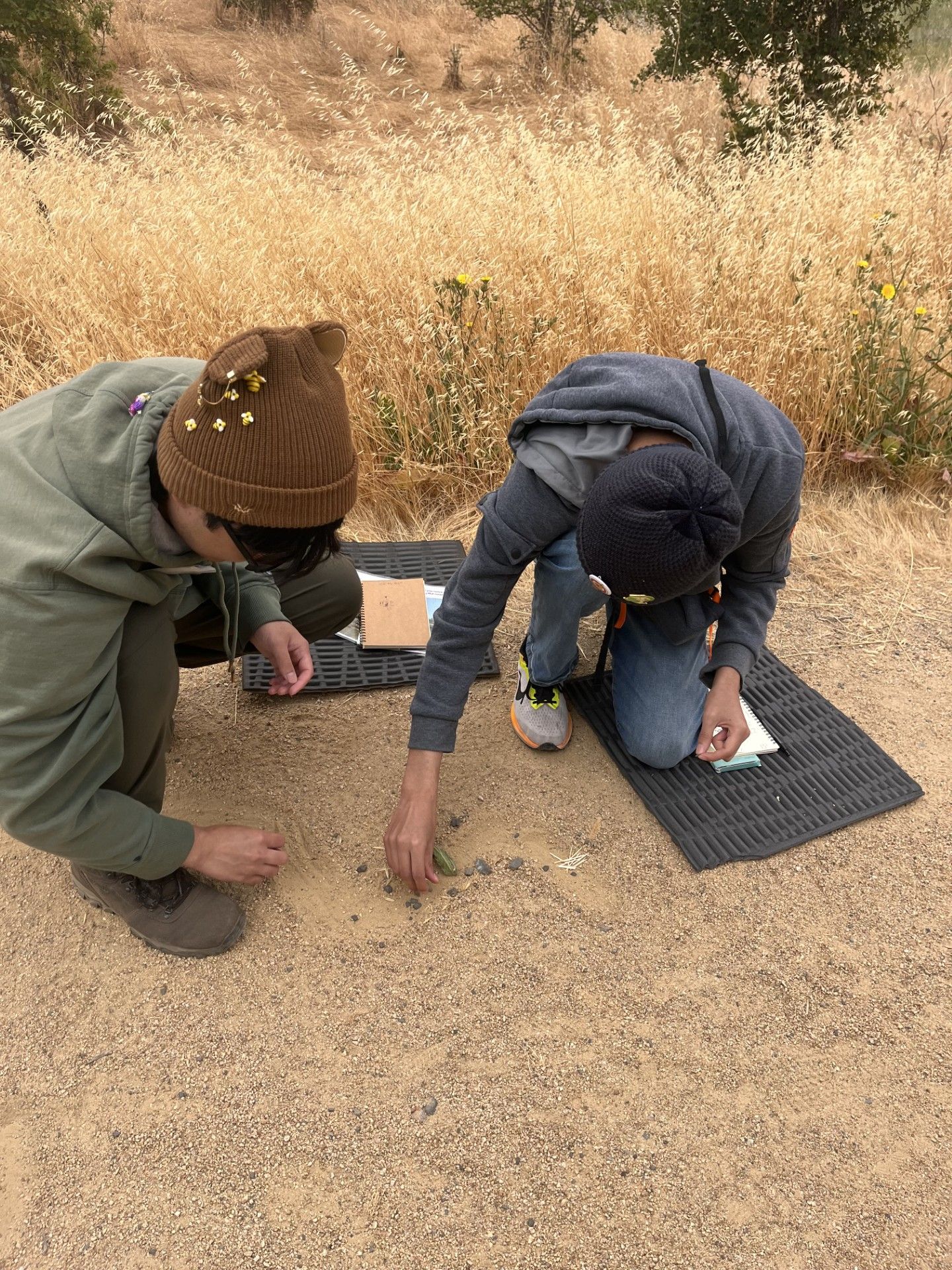 Point Blue Conservation Science | Petaluma CA