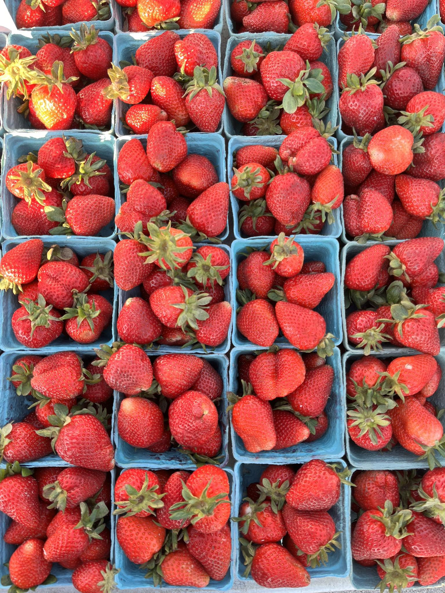Park Ridge Farmers Market | Park Ridge IL