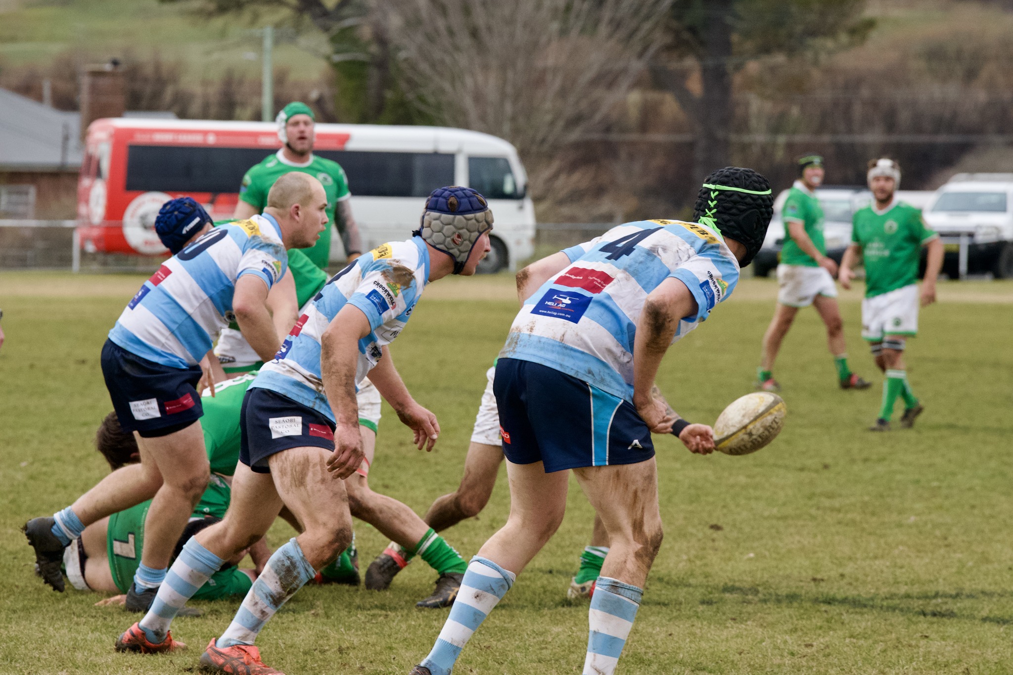 Crookwell Dogs Rugby Club... - Crookwell Dogs Rugby Club