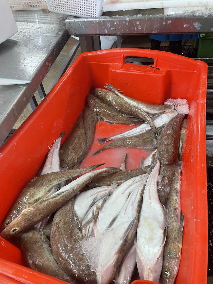 Jenkins & Son Fresh Fish added... - Jenkins & Son Fresh Fish