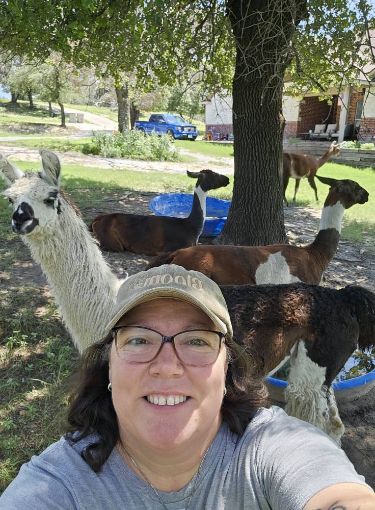 Valley of Hope Ranch Llamas | Weatherford TX