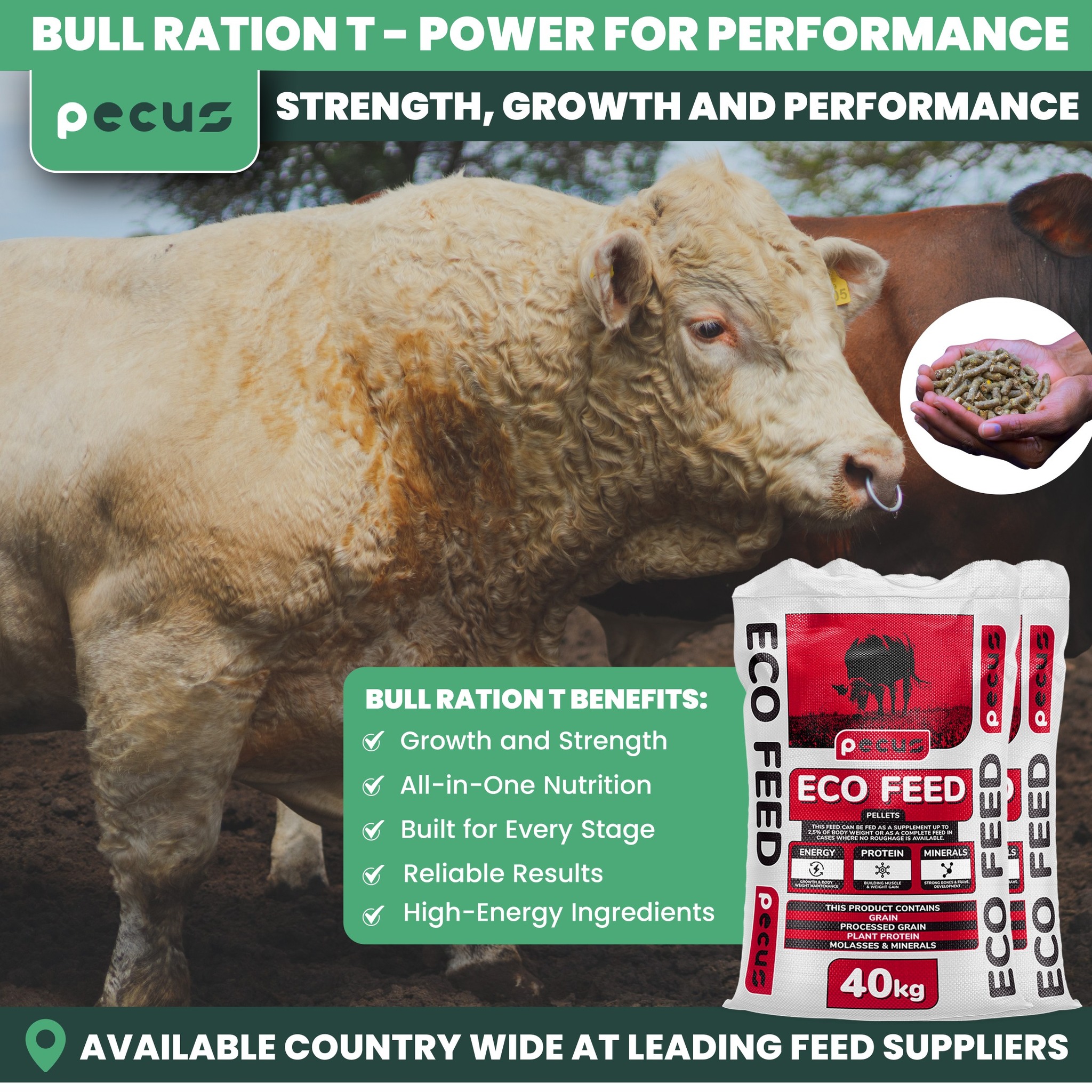 💪🐂 BULL RATION T – Power for... - Pecus Mineral Block | Facebook