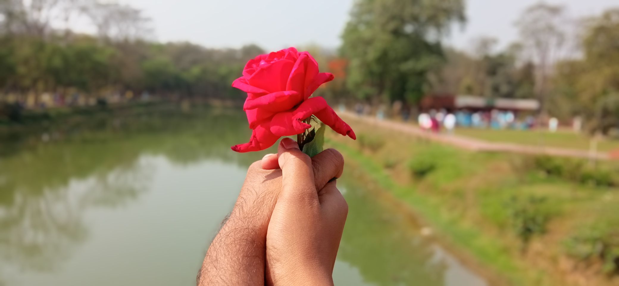 Robi Hasan