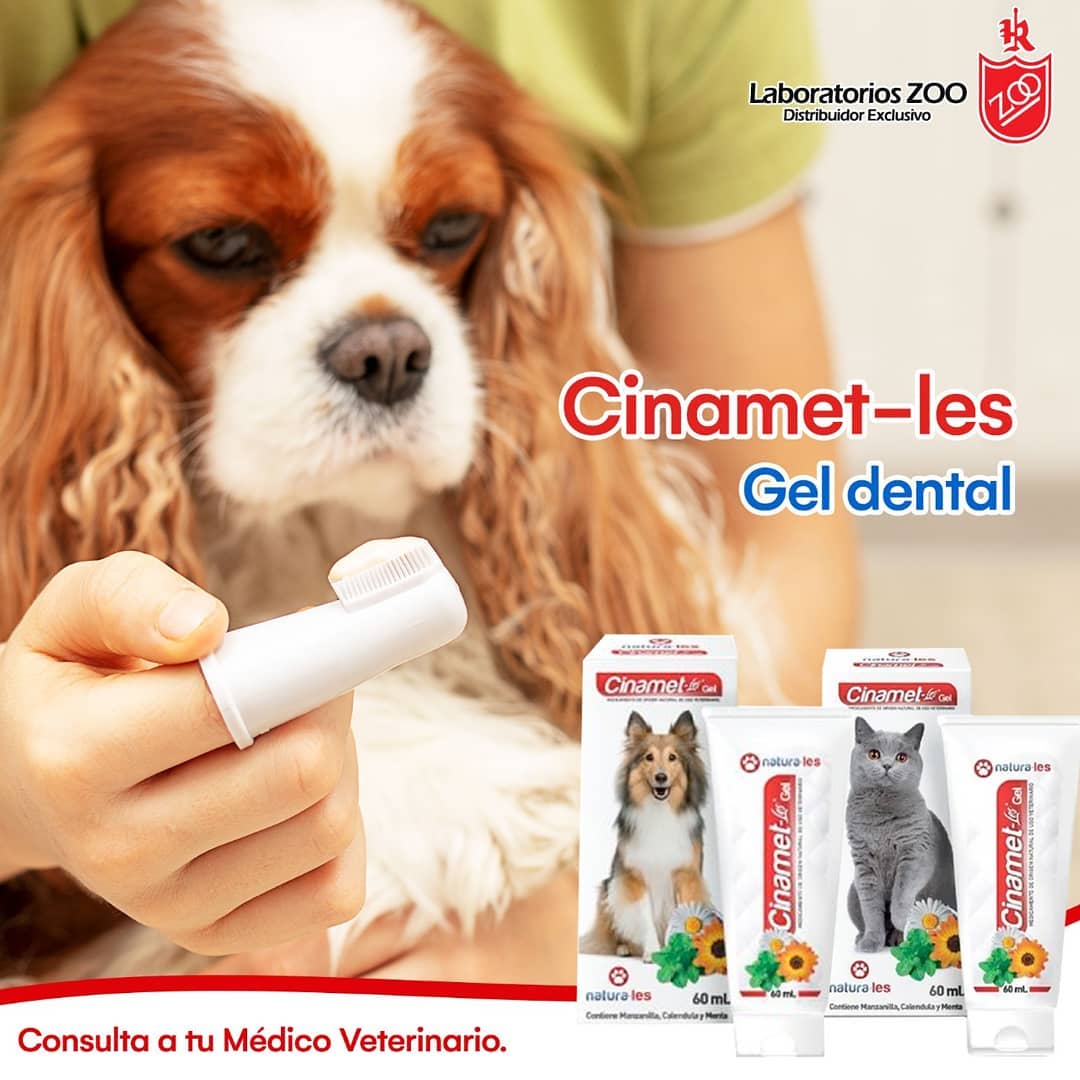 Con Cinamet-Les mant n la salud oral de tus mascotas, es un gel dental dise ado especialmente para sus necesidades de limpieza, ya sea en perros o gatos Cinamet-Les es tu mejor alternativa para