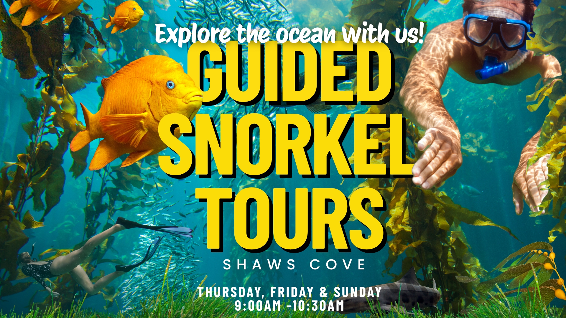 Ocean Institute - Dive into adventure with us! Join our... | Facebook