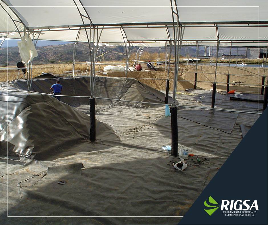 Pisos Industriales RIGSA - ¿Cuentas con un vivero o estás por crear uno ...