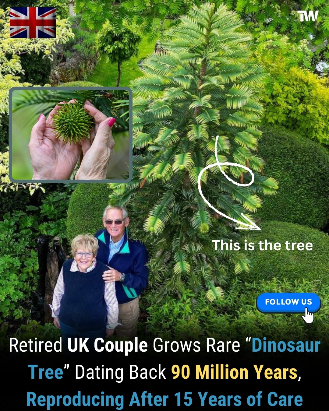 Techworm - 🌲 A 90-Million-Year-Old “Dinosaur Tree” Just Reproduced in a ...
