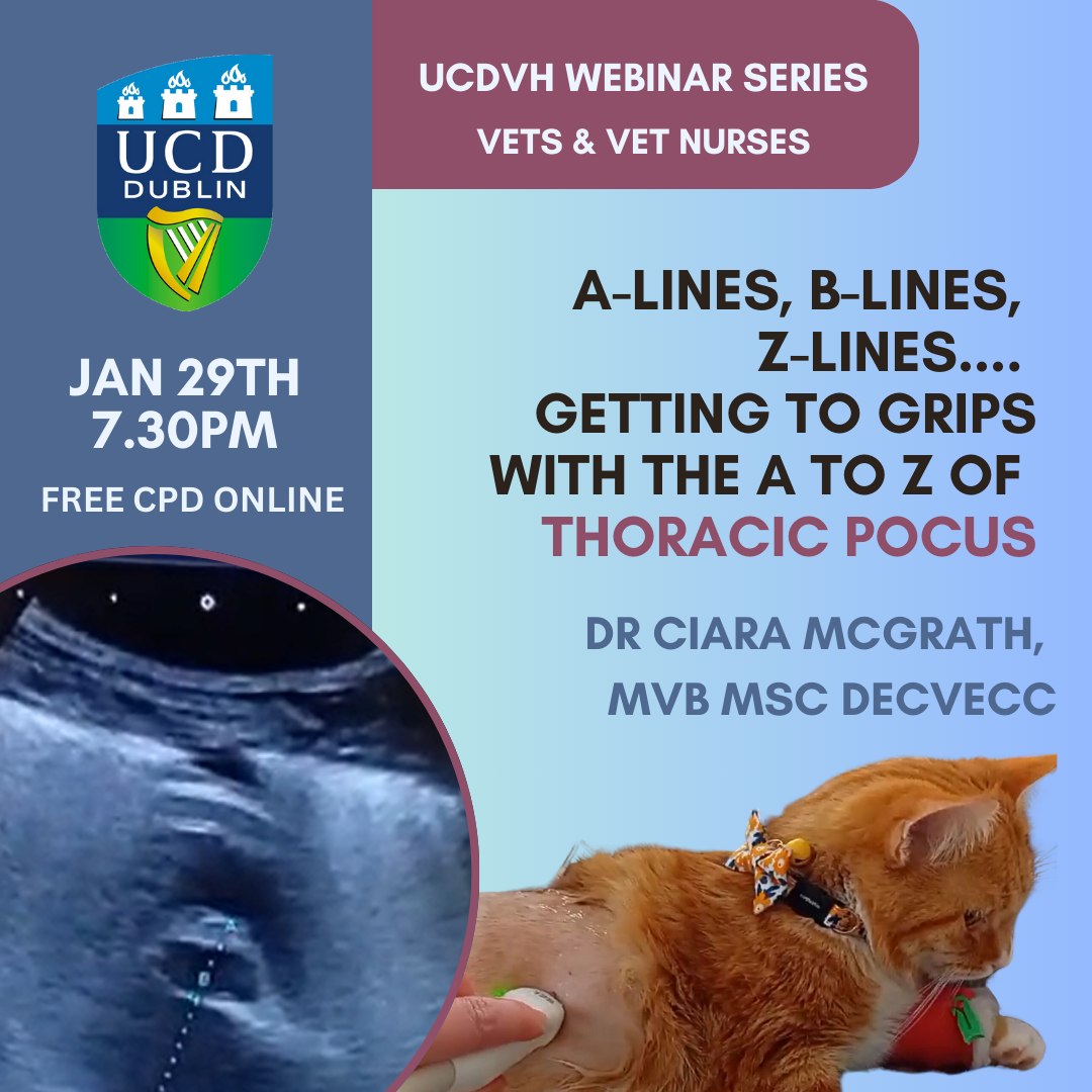UCD Veterinary Hospital