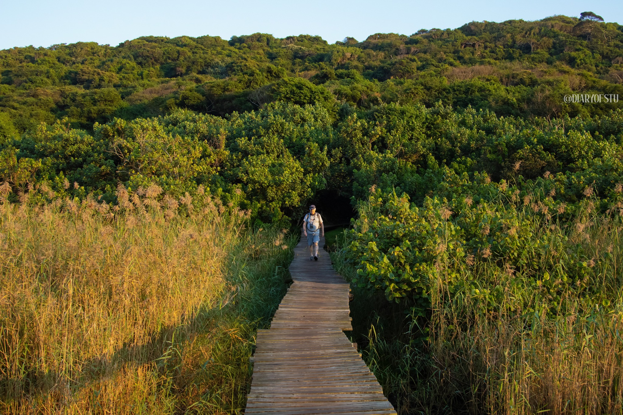 beachwood-mangroves-nature-reserve-durban