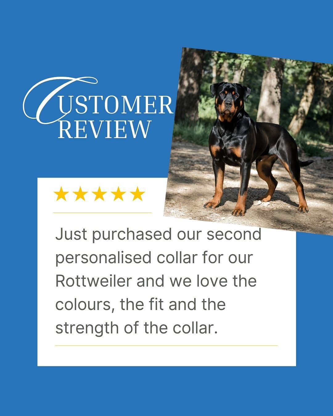 Personalised Pet Collars