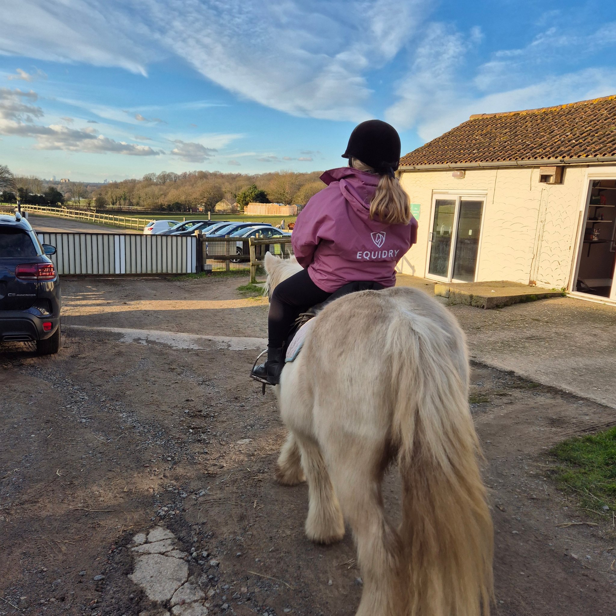 Timbertop Equestrian Centre | London