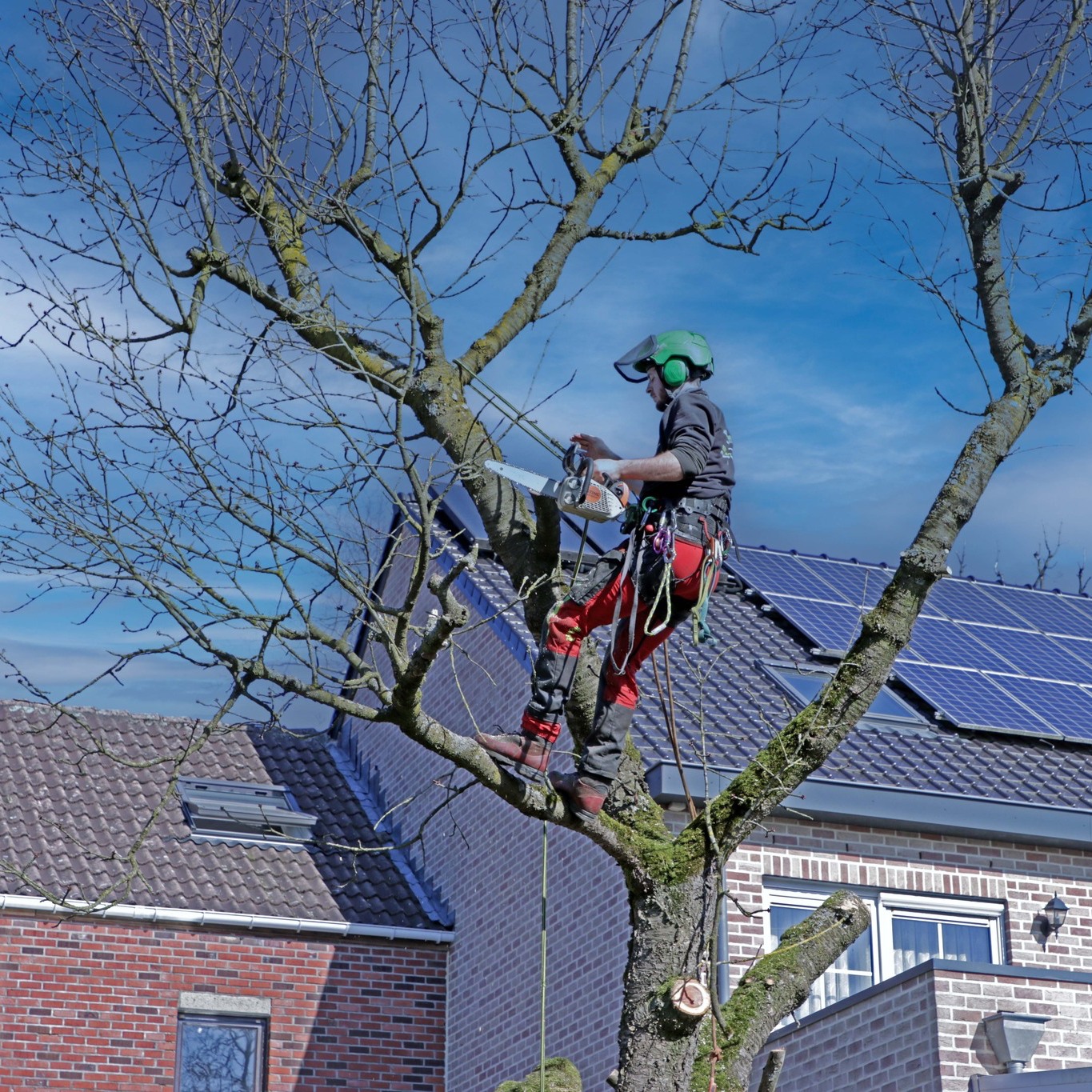 Scouts - Yesss onze groepslintjes zijn eindelijk aangekomen 😁! Alle ...