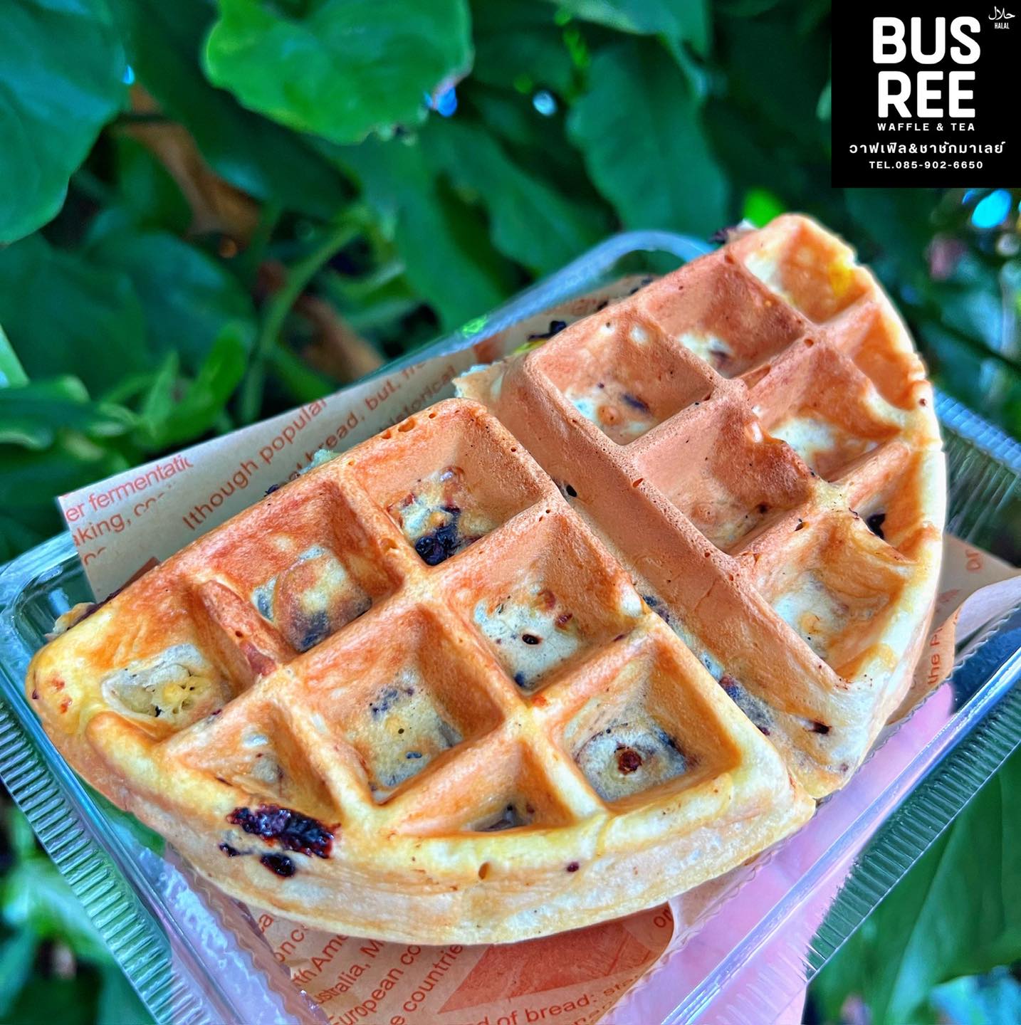 Busree วาฟเฟิล&ชาชักมาเลย์... - Busree วาฟเฟิล&ชาชักมาเลย์