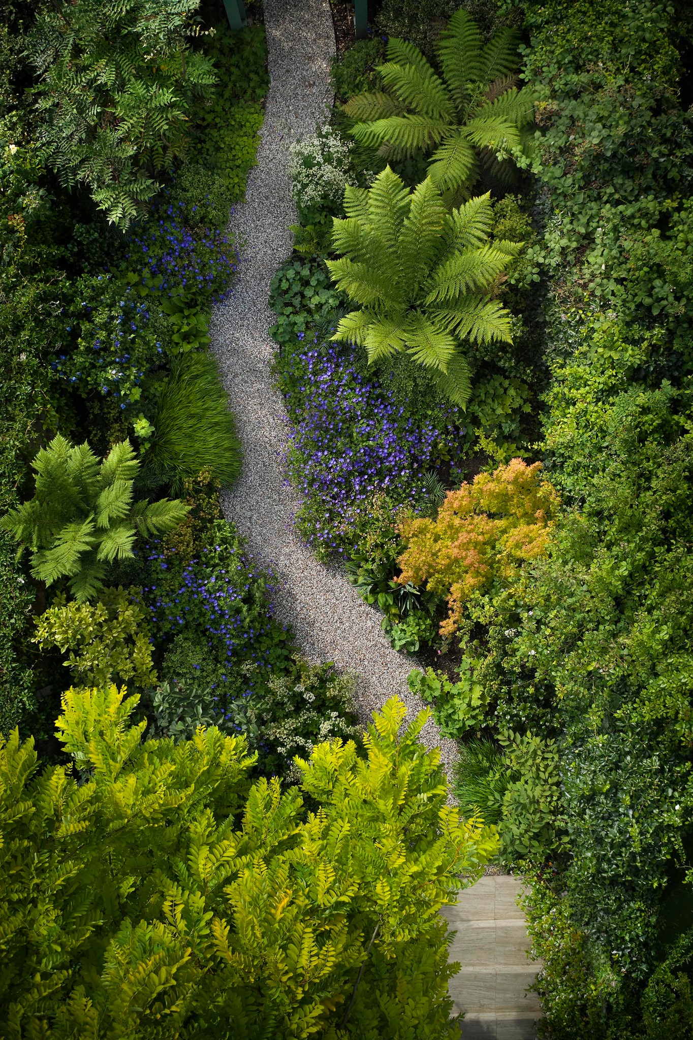 What to Expect from a Garden Designer: Expert Insights