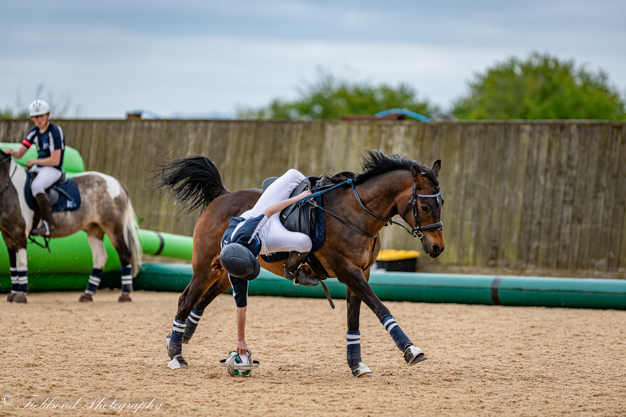 British - ⭐️ British Horseball Association UK Championships 2025 ⭐️ It ...