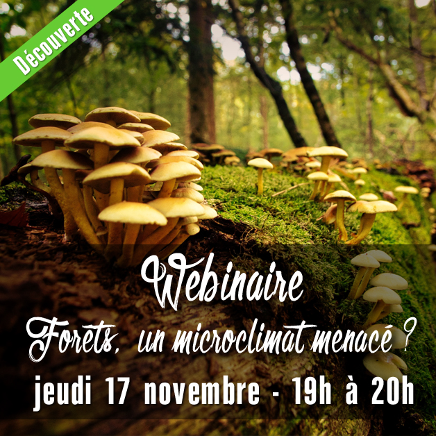 Etats Sauvages - 🌳🌲💦 #WEBINAIRE : Forêts, un microclimat... | Facebook