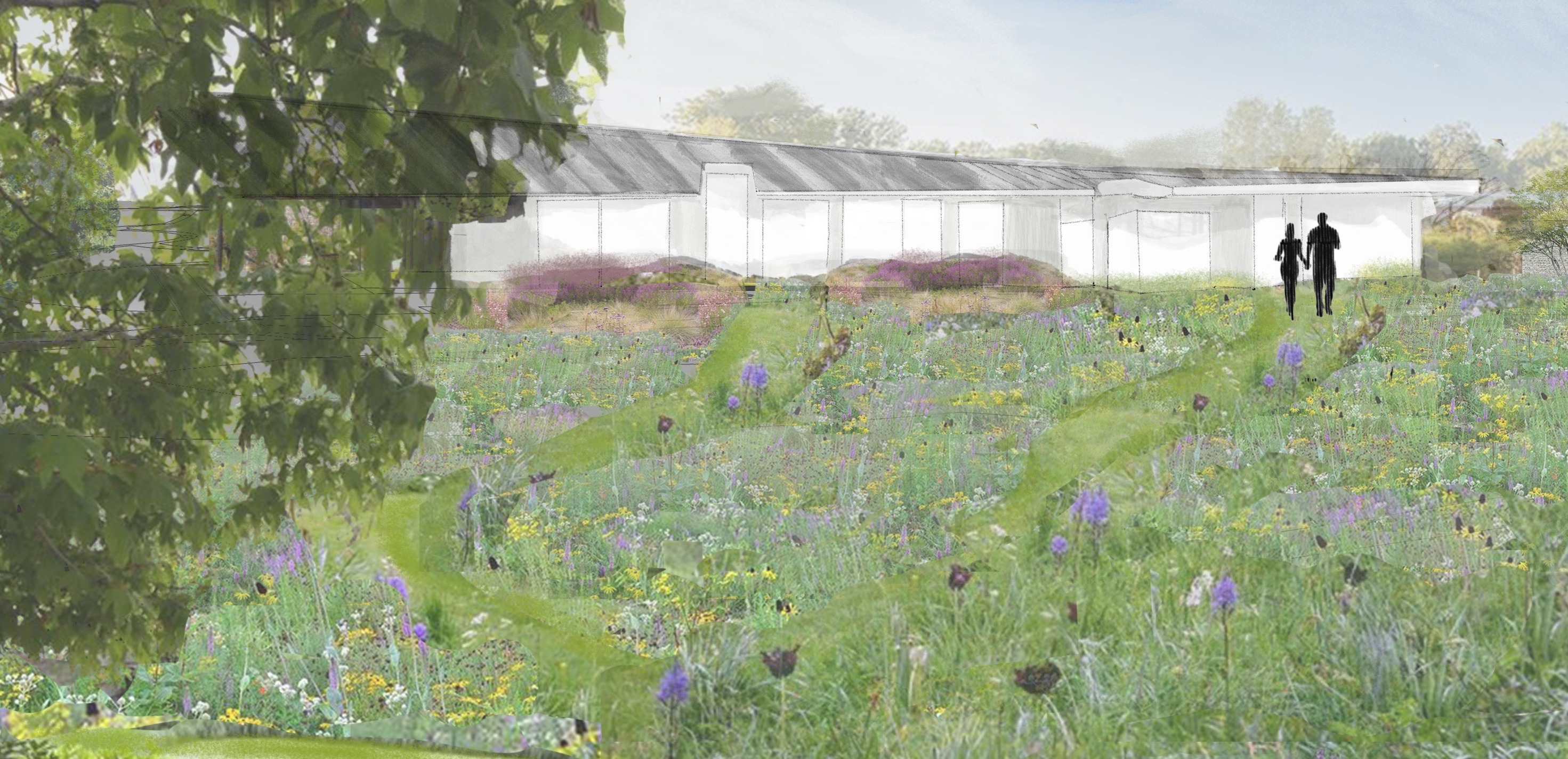 claire-evans-garden-design-wokingham