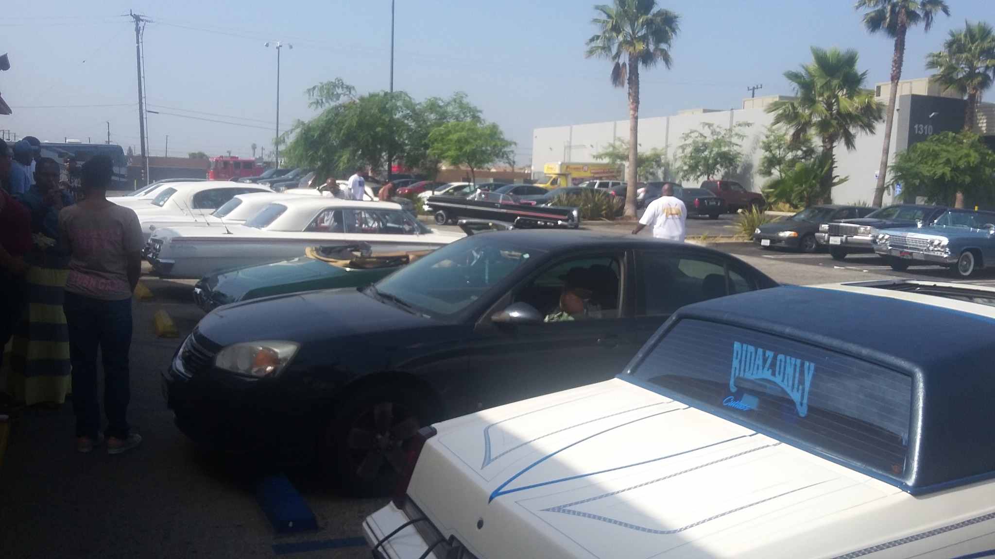 Lowrider stars | Los Angeles CA
