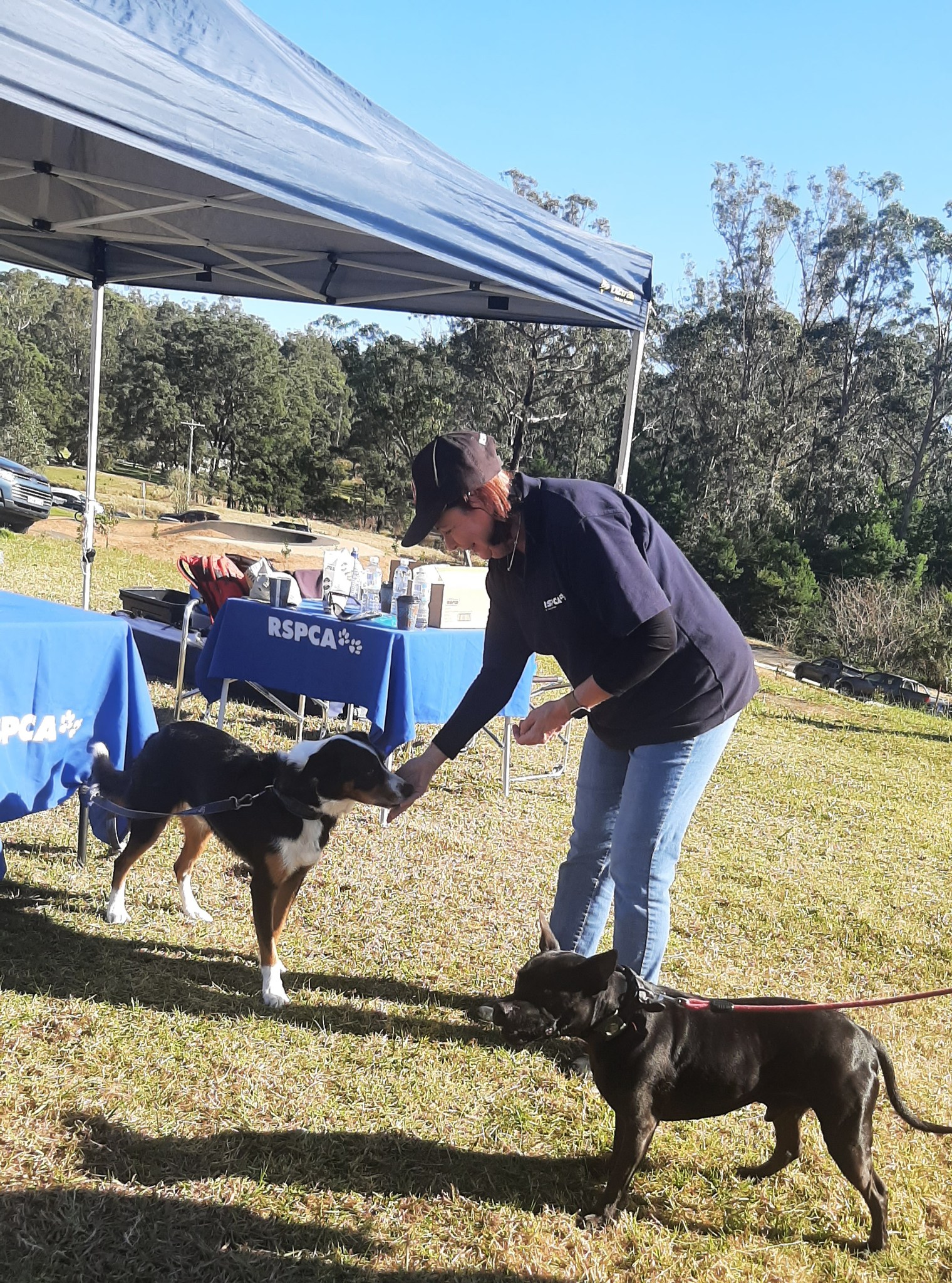 RSPCA NSW Eurobodalla Supporter Group