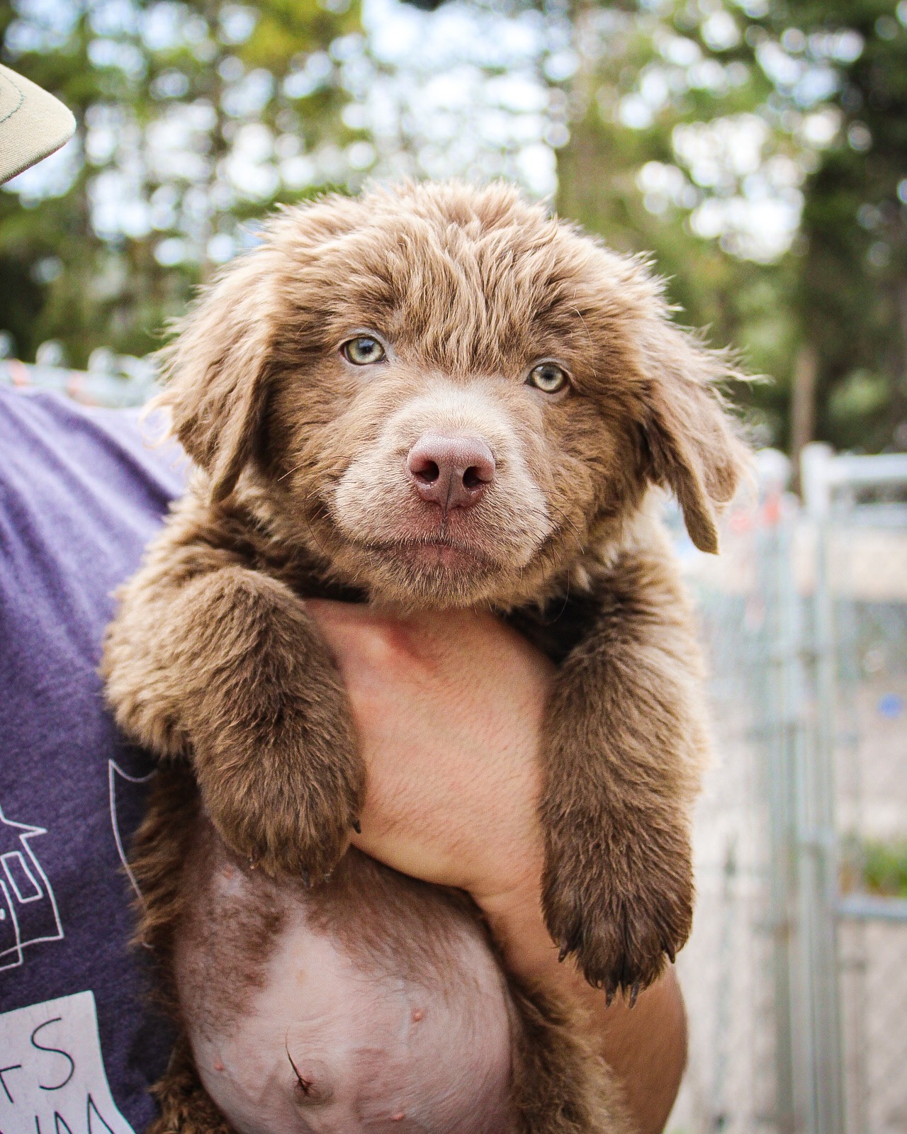 The Humane Society of Western Montana | Missoula MT