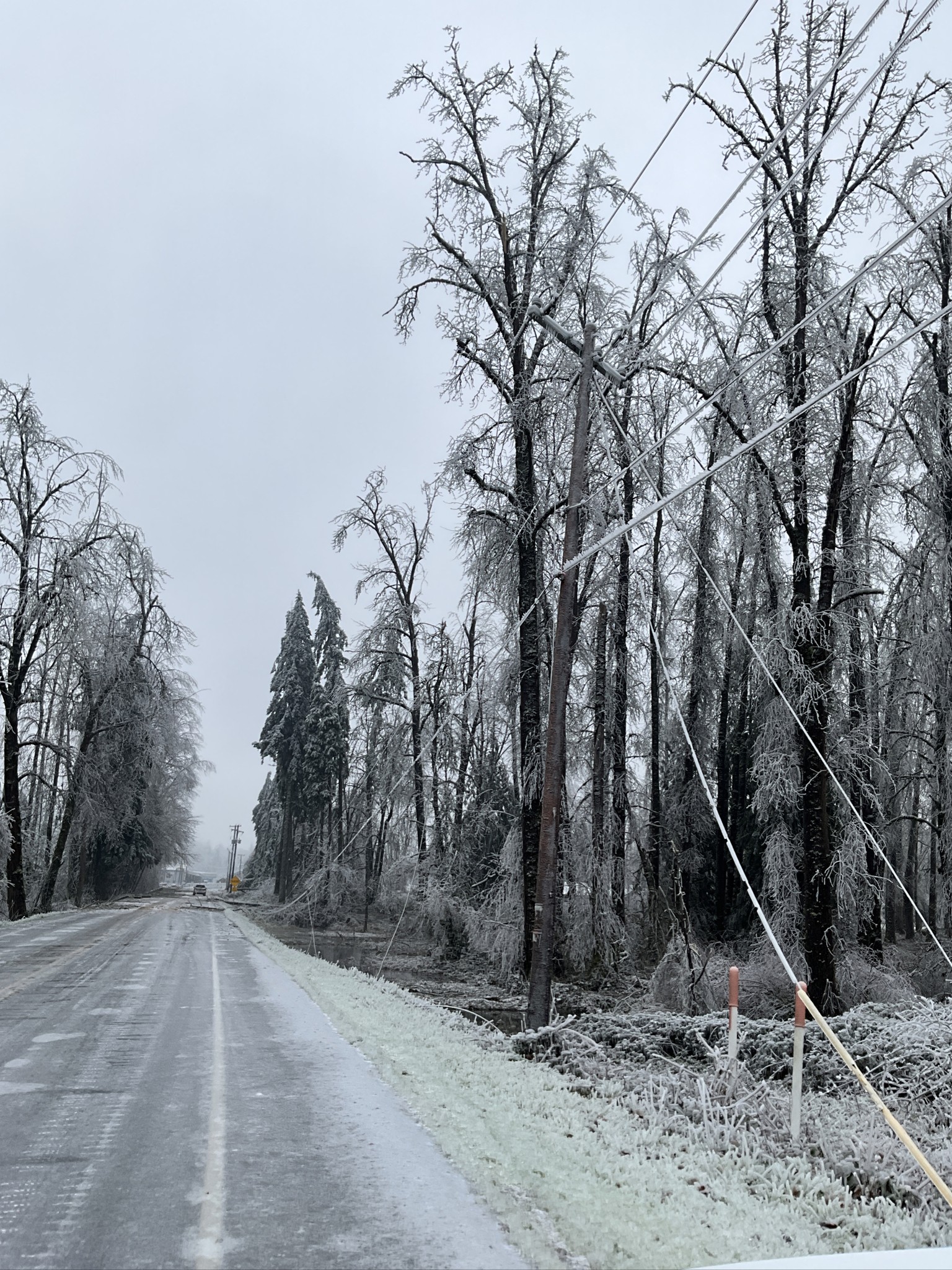 ⚠️OUTAGE UPDATE: This... - Emerald People's Utility District