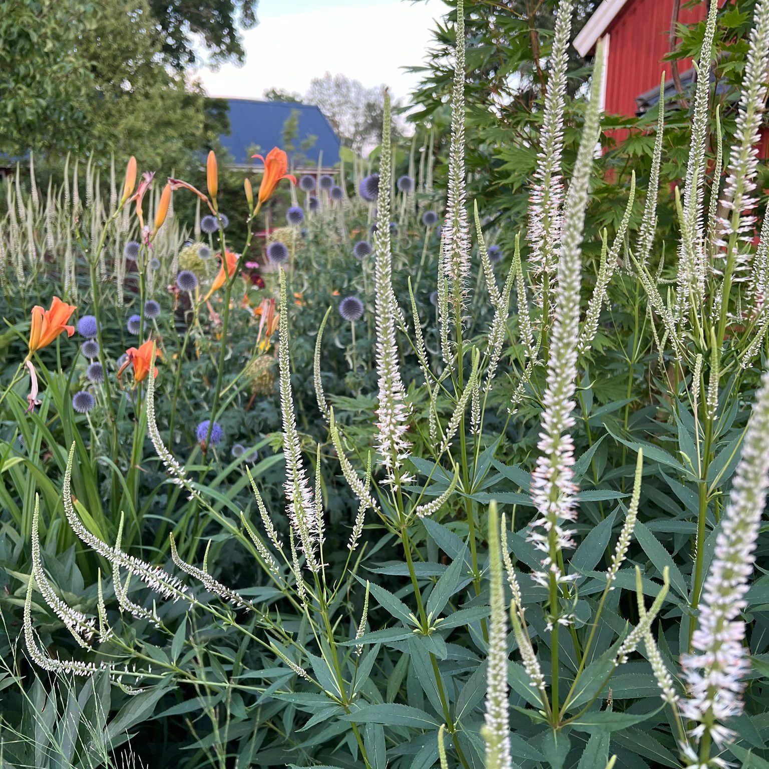 SinnligTrädgård | Skövde