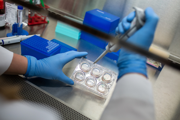 Race - 🧠 Inside the labs: FTD Research in Action Part of our 'Under the ...