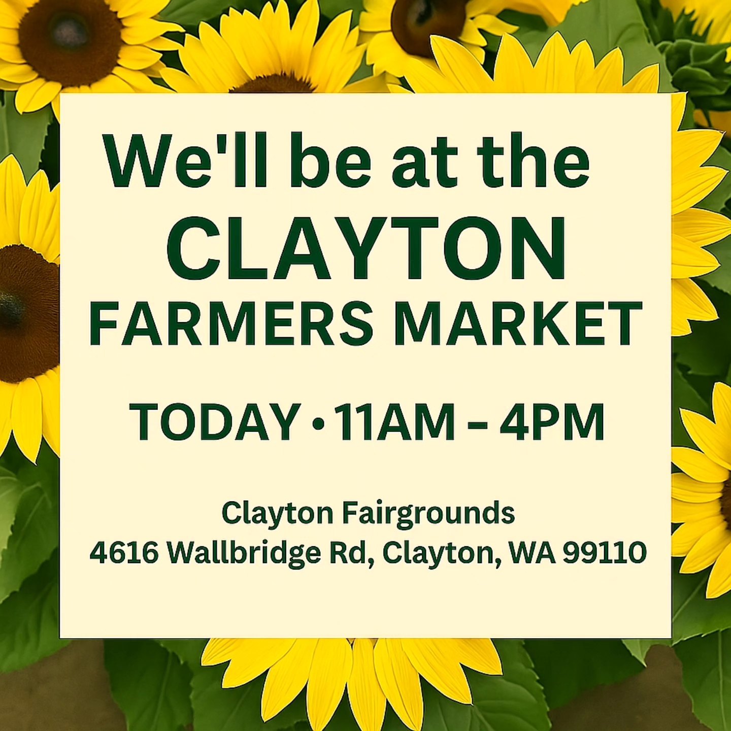 Clayton Rodeo | Clayton WA