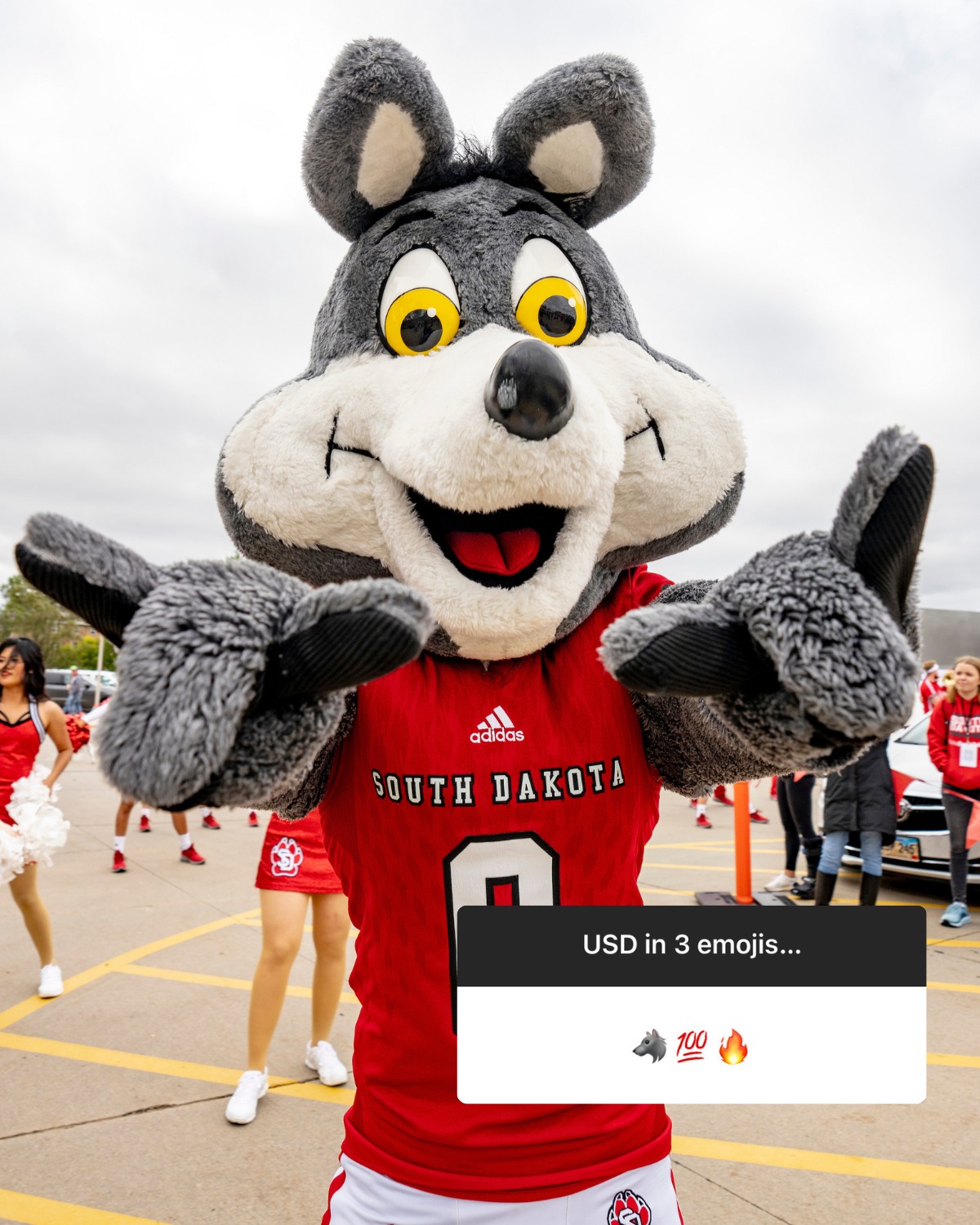 University of South Dakota Foundation & Alumni Association | Vermillion SD