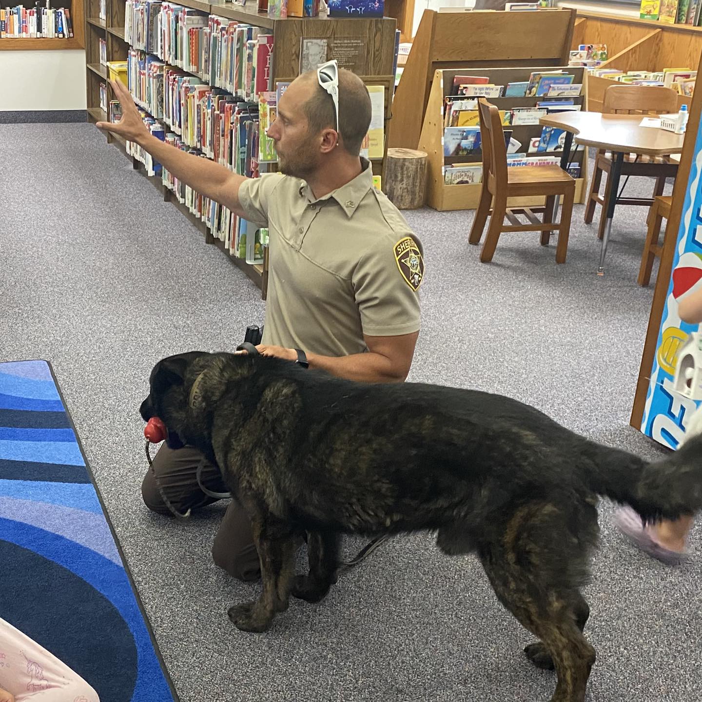 Spring Grove Public Library | Spring Grove MN