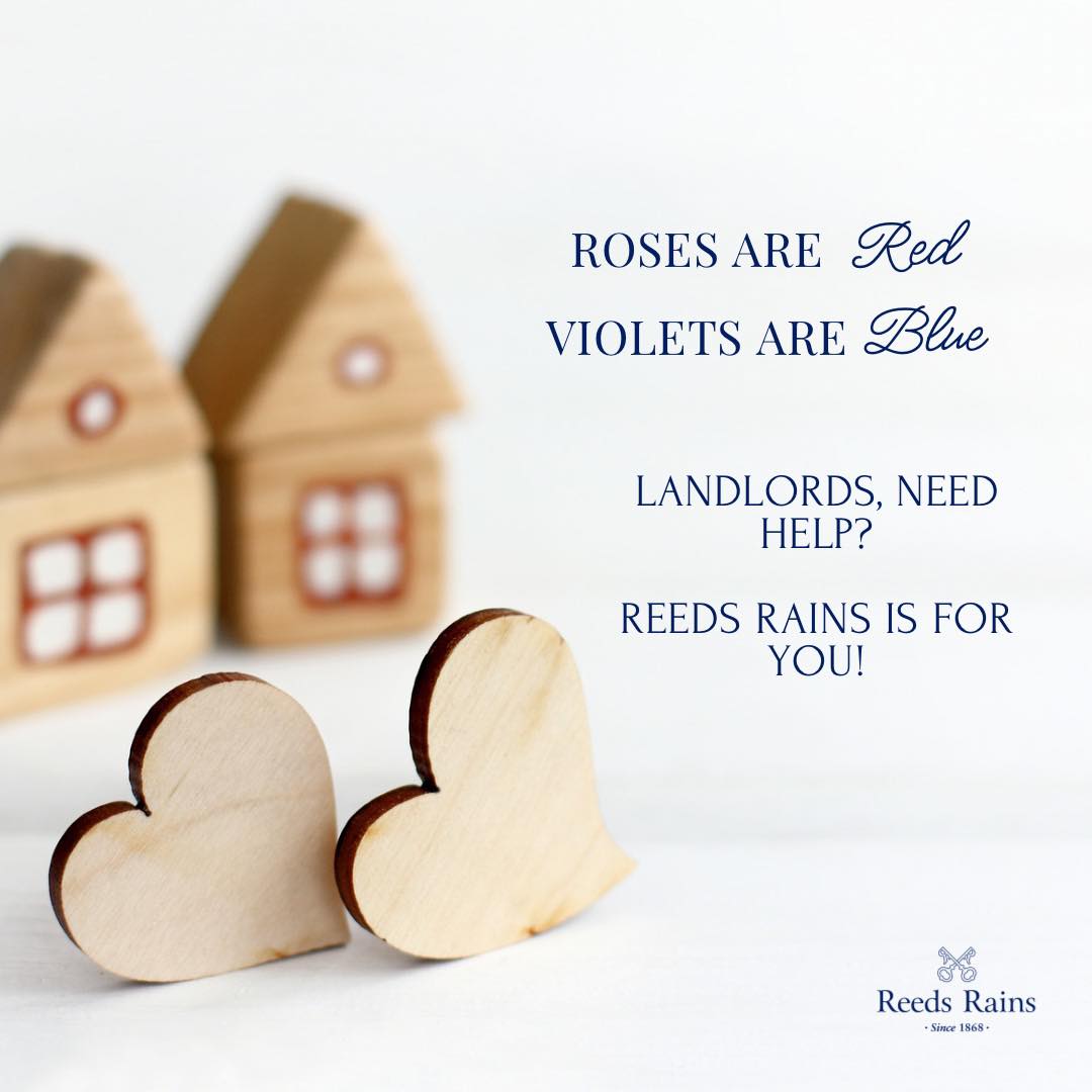 Reeds Rains Estate Agents Chester-Le-Street - Something for everyone in ...