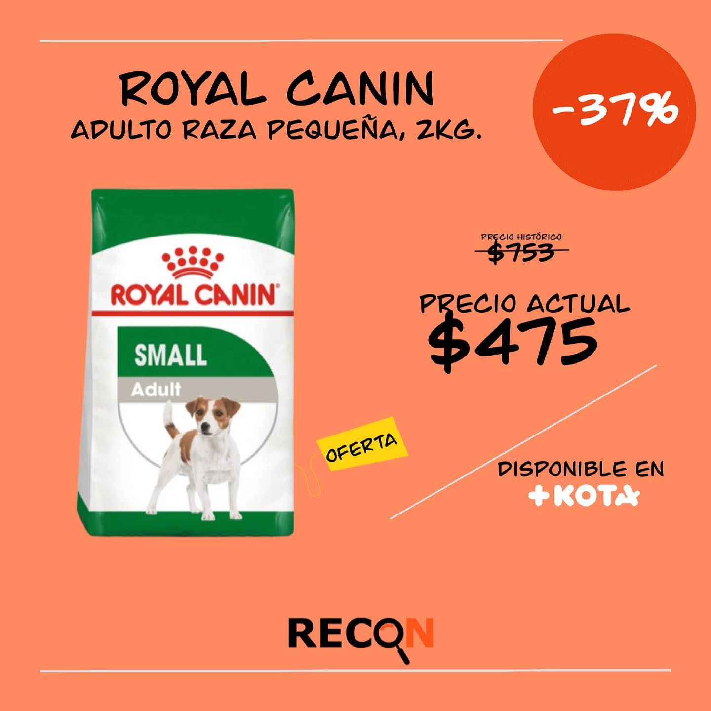 Recon.com.mx
