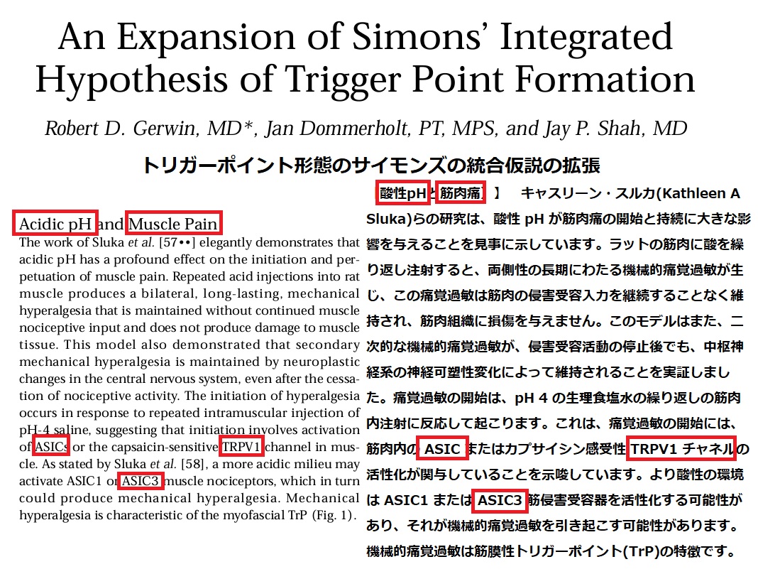 神戸東洋医学研究会 - 【科学の最前線：トリガーポイントと、「酸感受性イオンチャネル(ASIC)」と筋膜痛(Myofascial Pain ...
