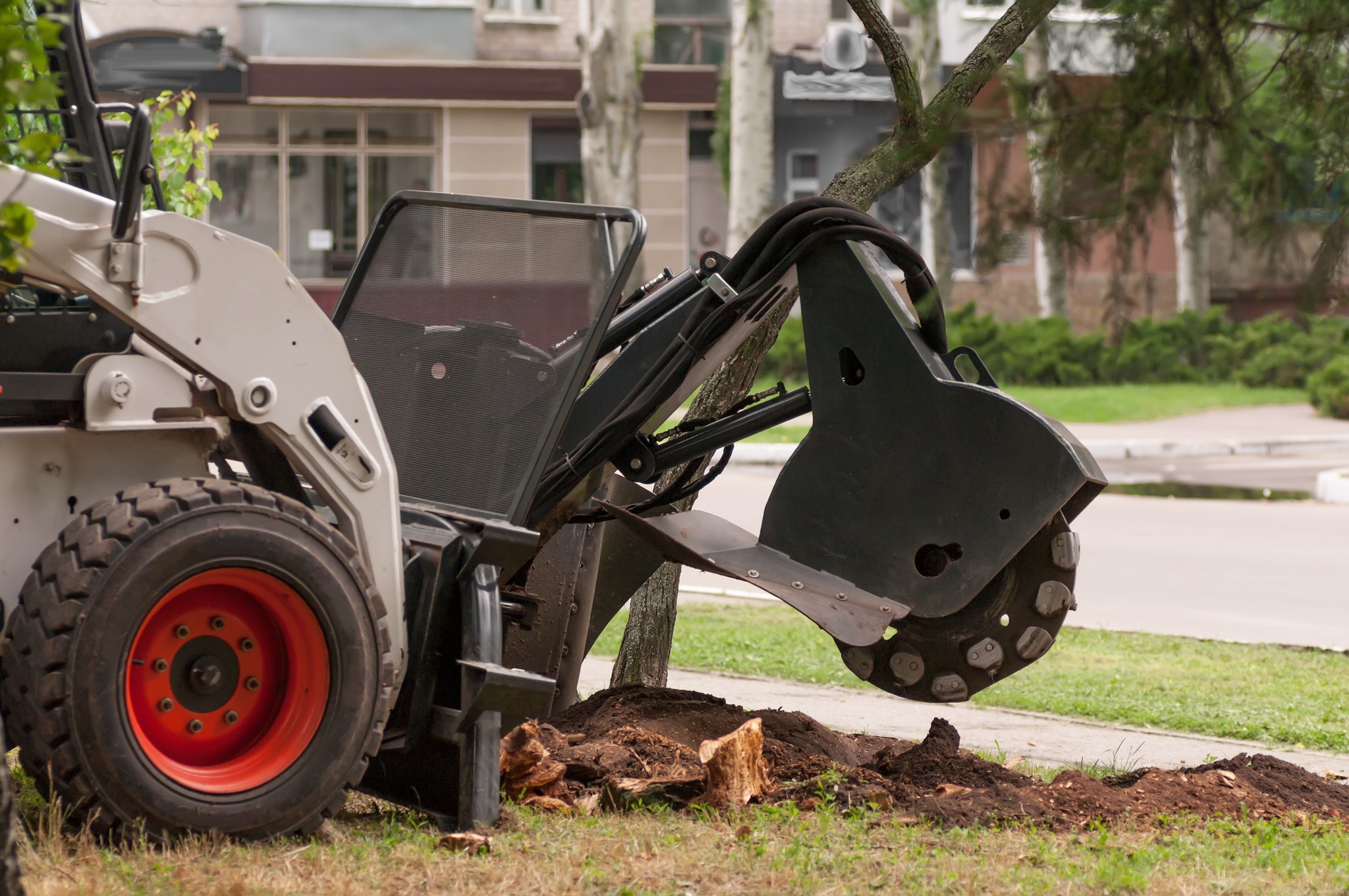 Montgomery Tree & Stump Removal | Huntsburg OH