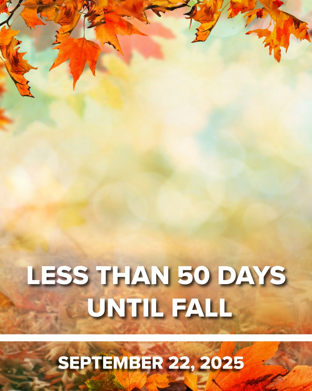 FOX - There are officially less than 50 days until the first day of ...