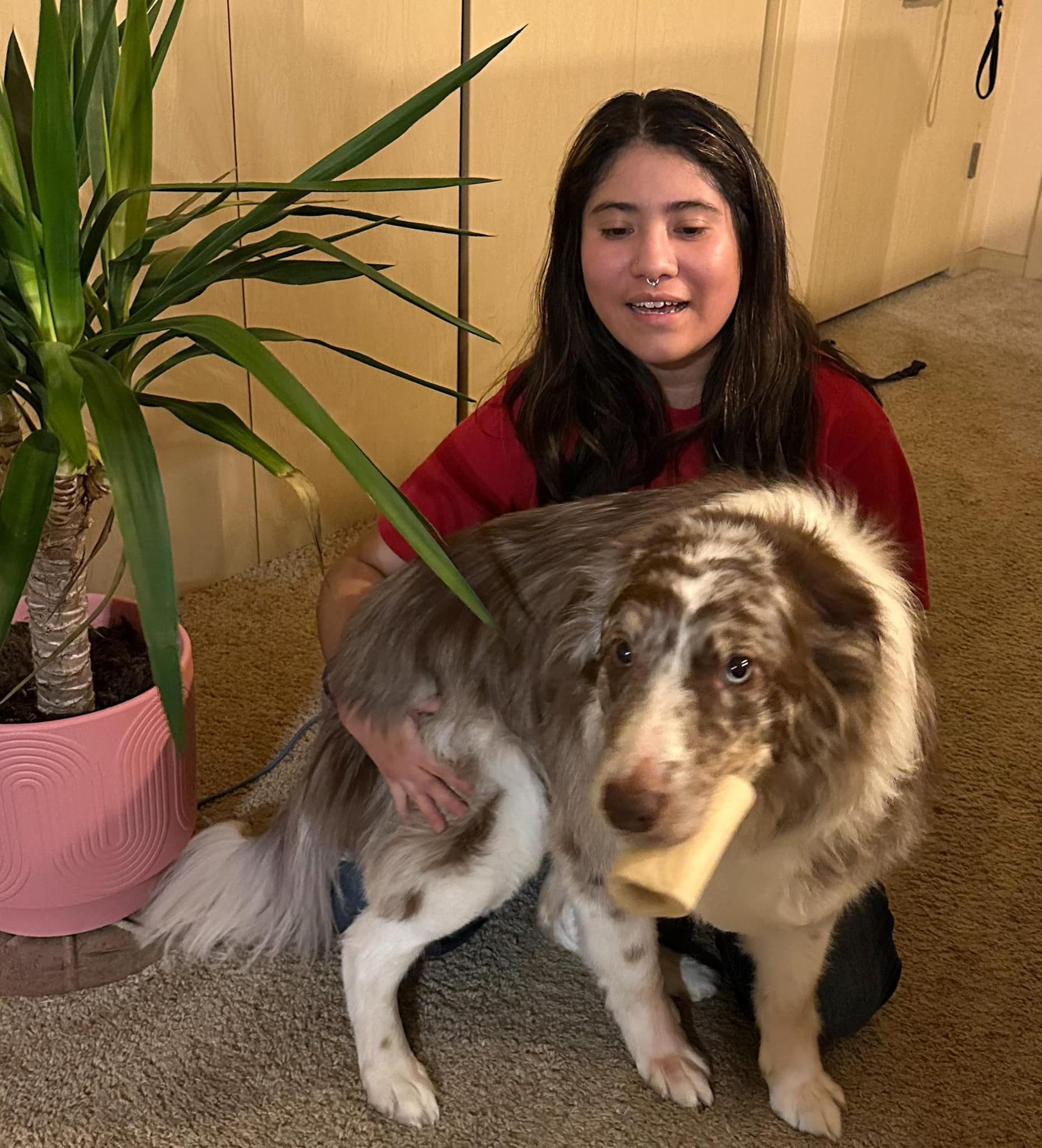 Dog - ATTENTION🚨🚨Sara’s first day working at Rufus DuMonde Pet Salon is ...