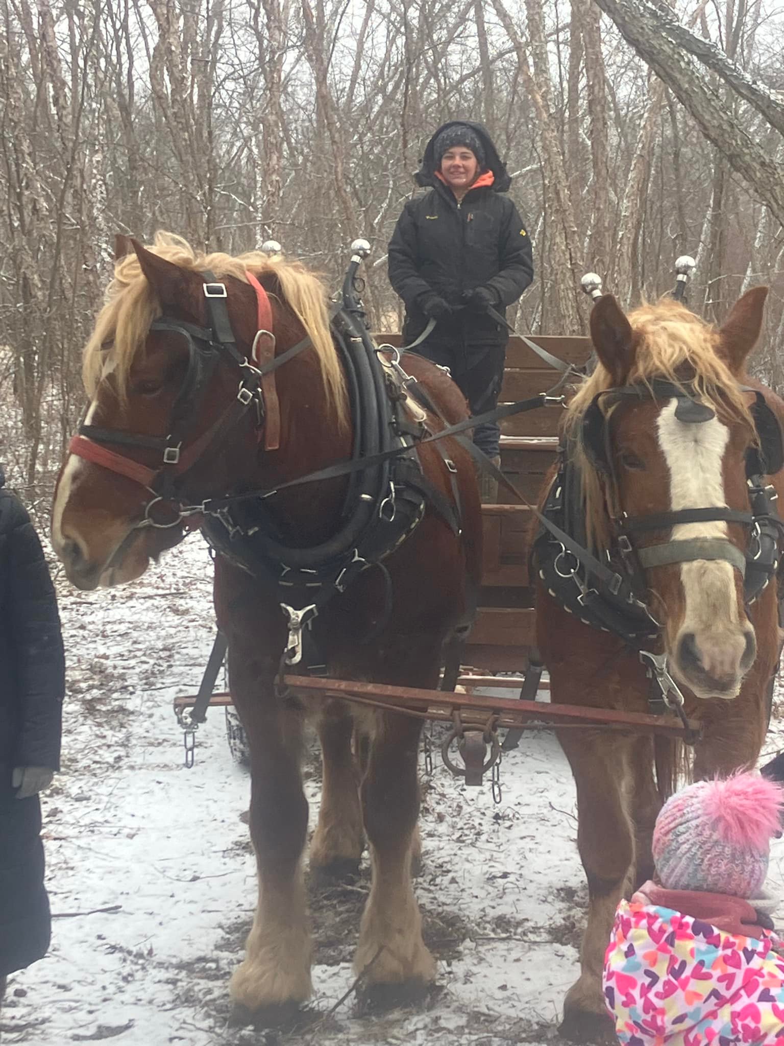 Red Ridge Ranch Riding Stable | Mauston WI