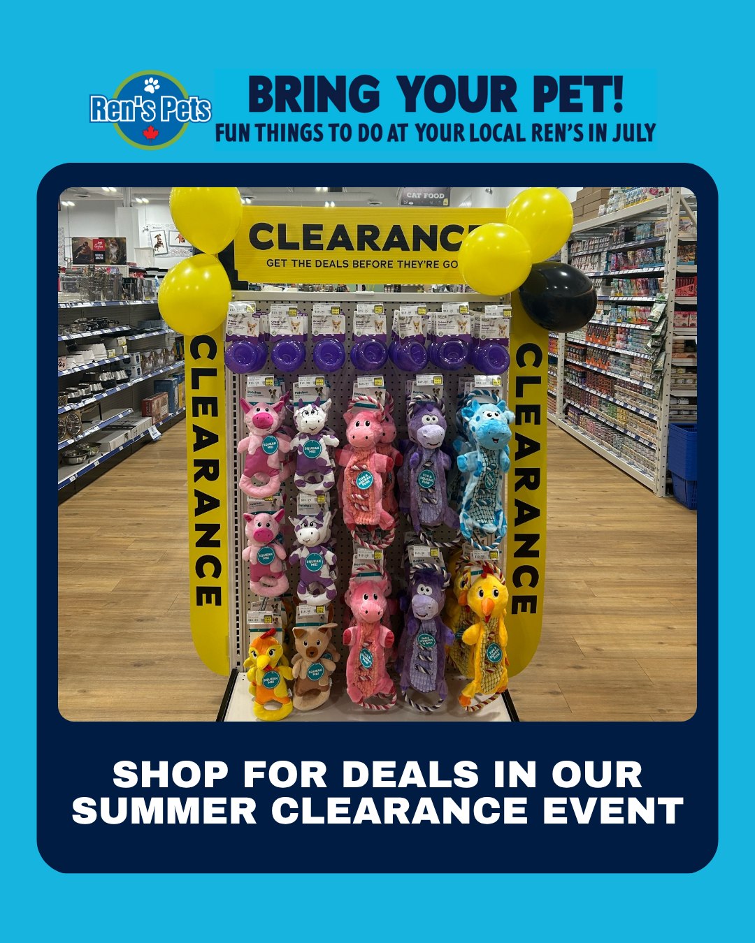 Interesting Info About Clearance Pet Products