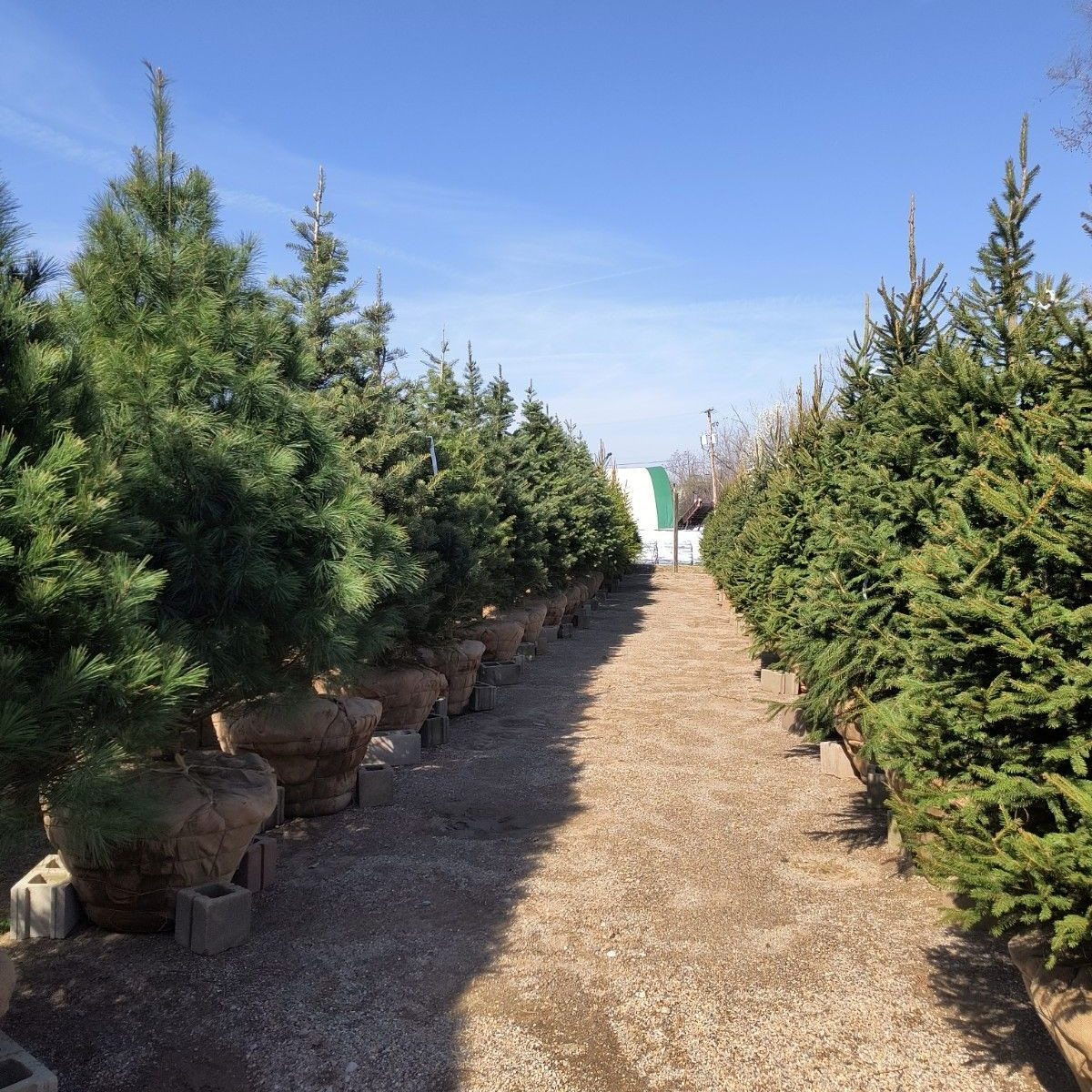 Kurtz Bros Mulch & Soils