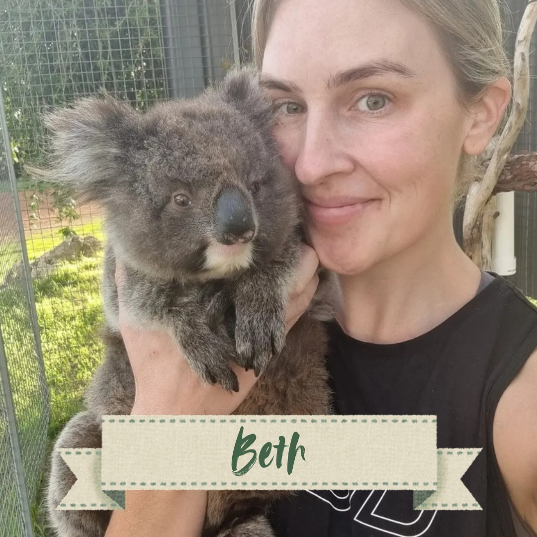 West Oz Wildlife - Book now for Term 4 😊 🌿 Koala 🌿 Dingo 🌿 Pythons 🌿 ...