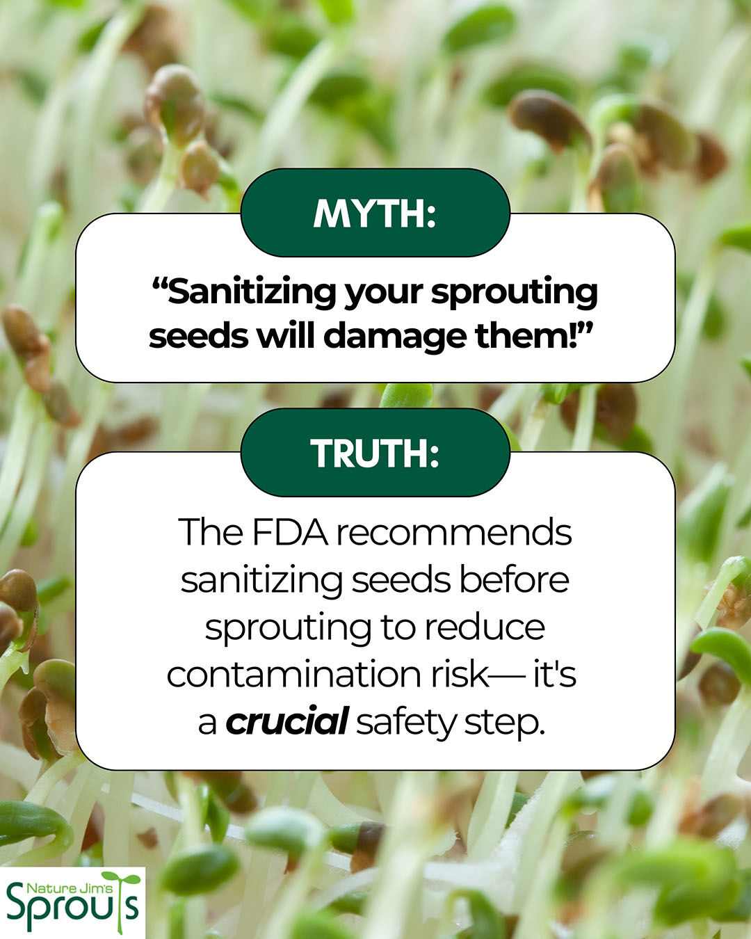 Nature - The sprouting community has strong opinions about seed ...