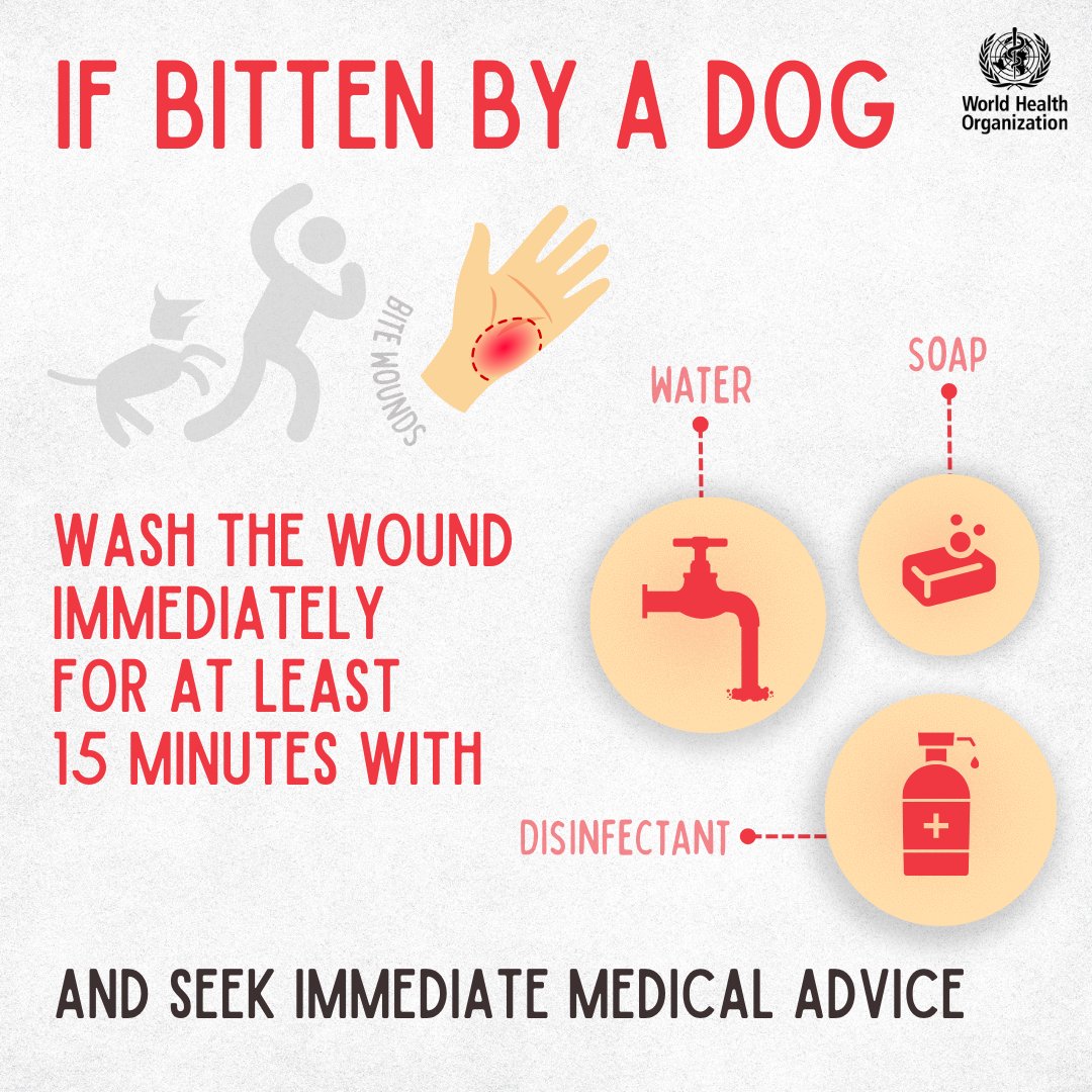 World - Wound washing saves lives! If bitten by a dog 🐶, always seek ...