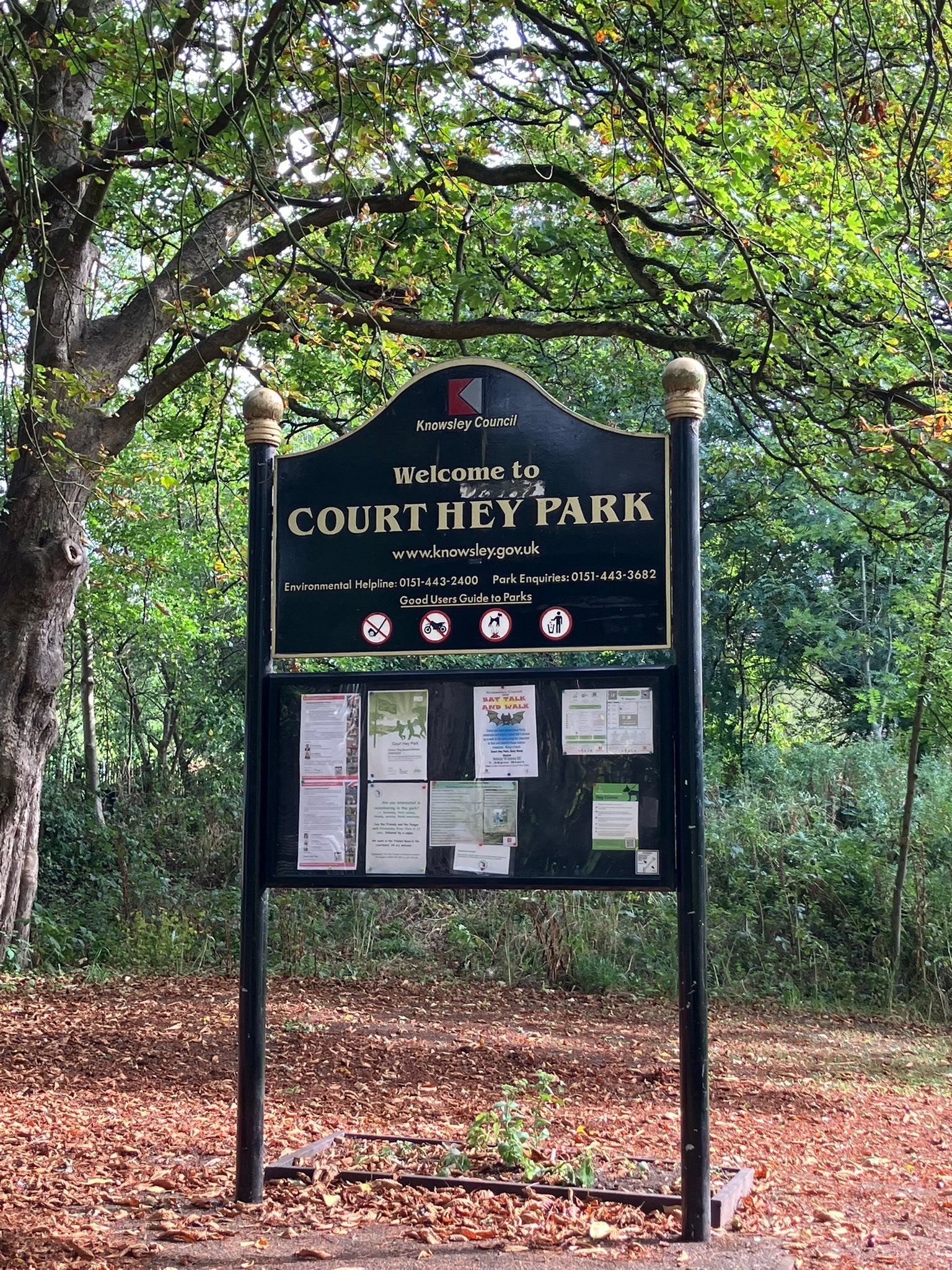 🍂 September is a beautiful... - Friends of Court Hey Park | Facebook
