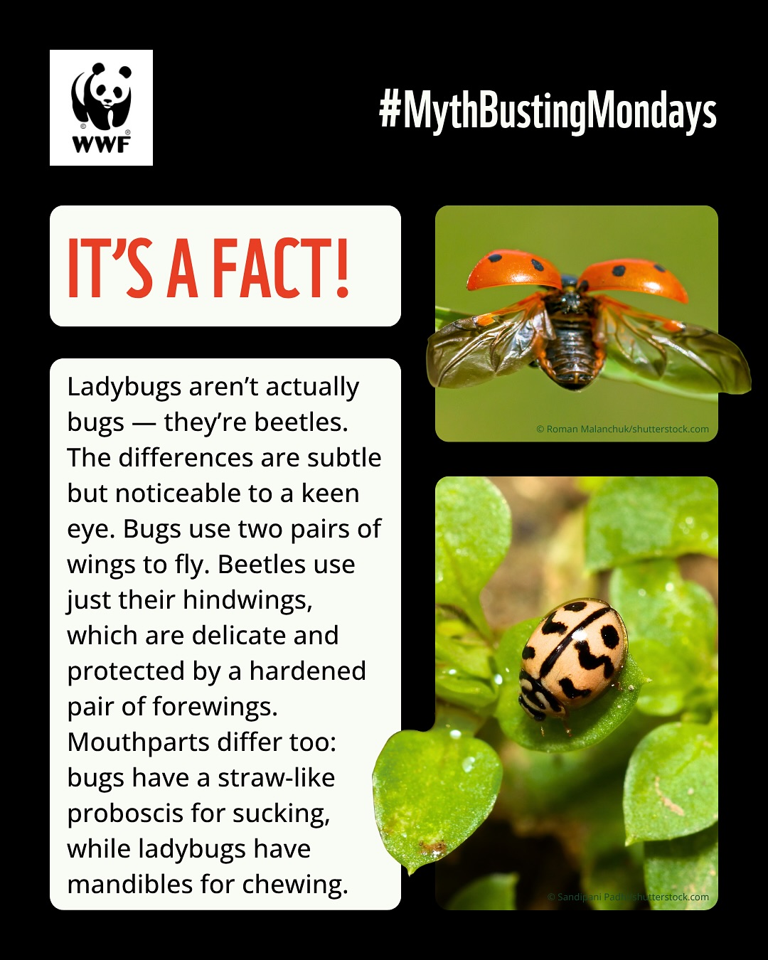 WWF-India - WWF-India added a new photo.