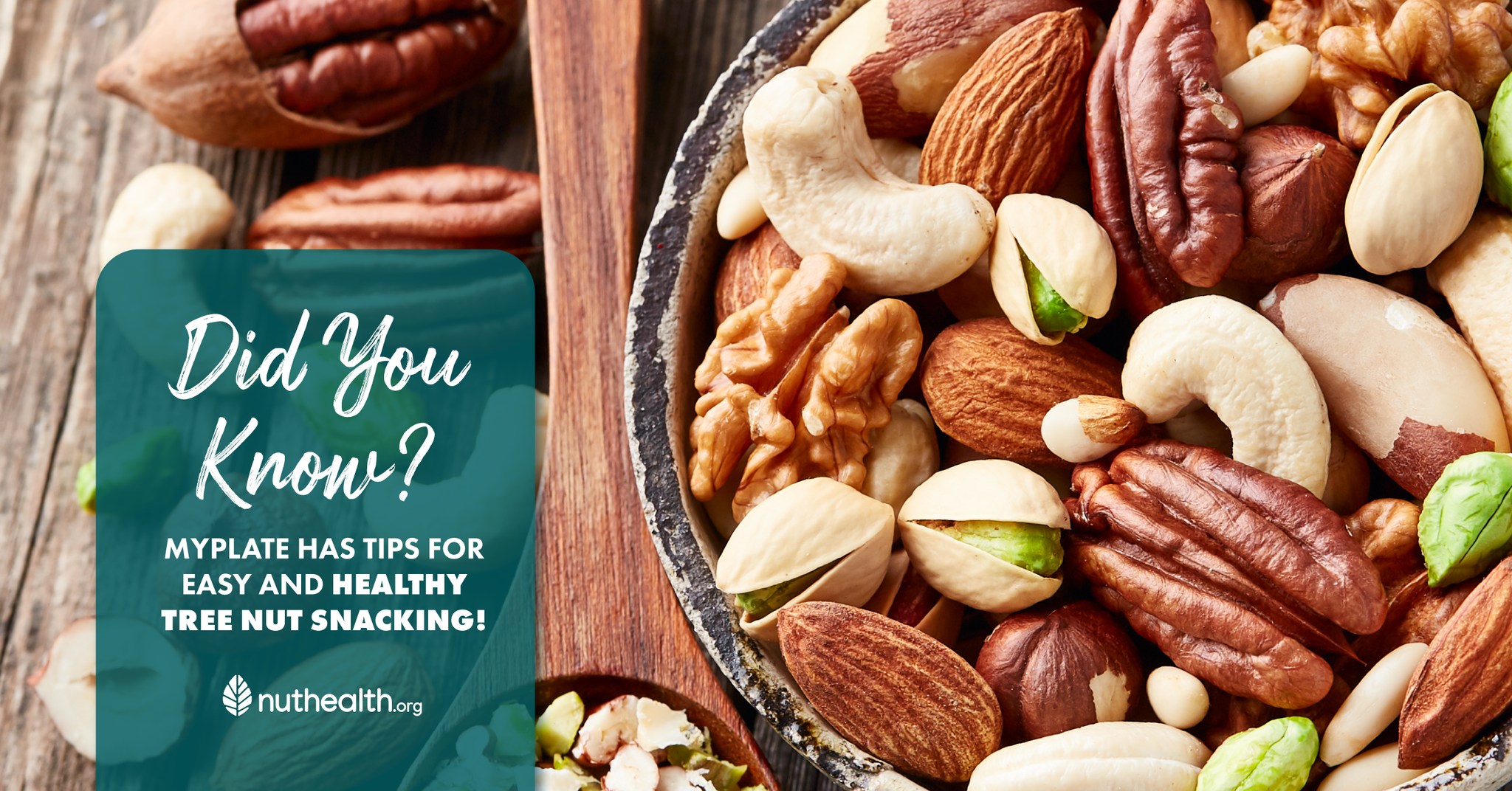 Nut Health